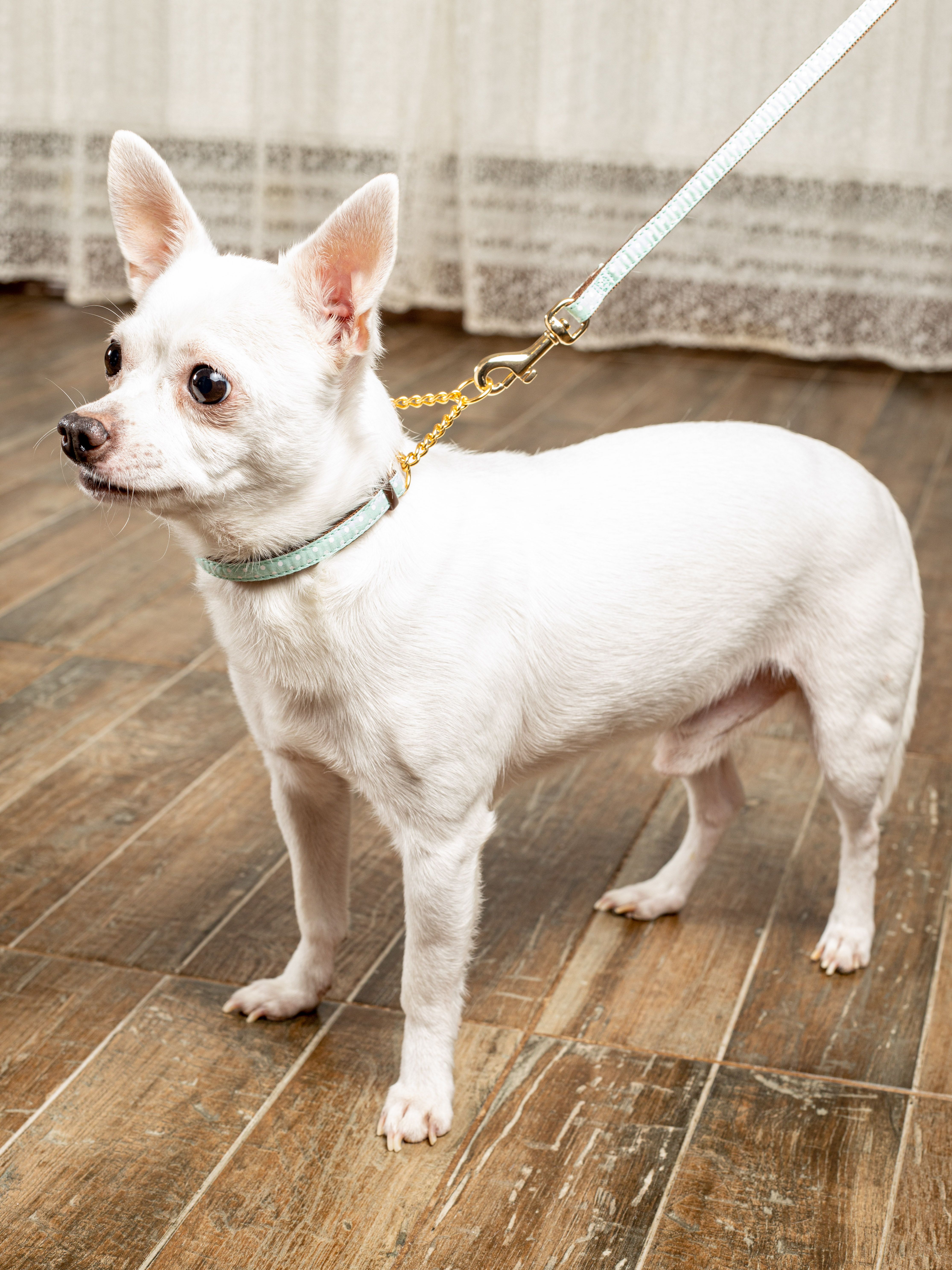 Product DAC0668611 photo 3