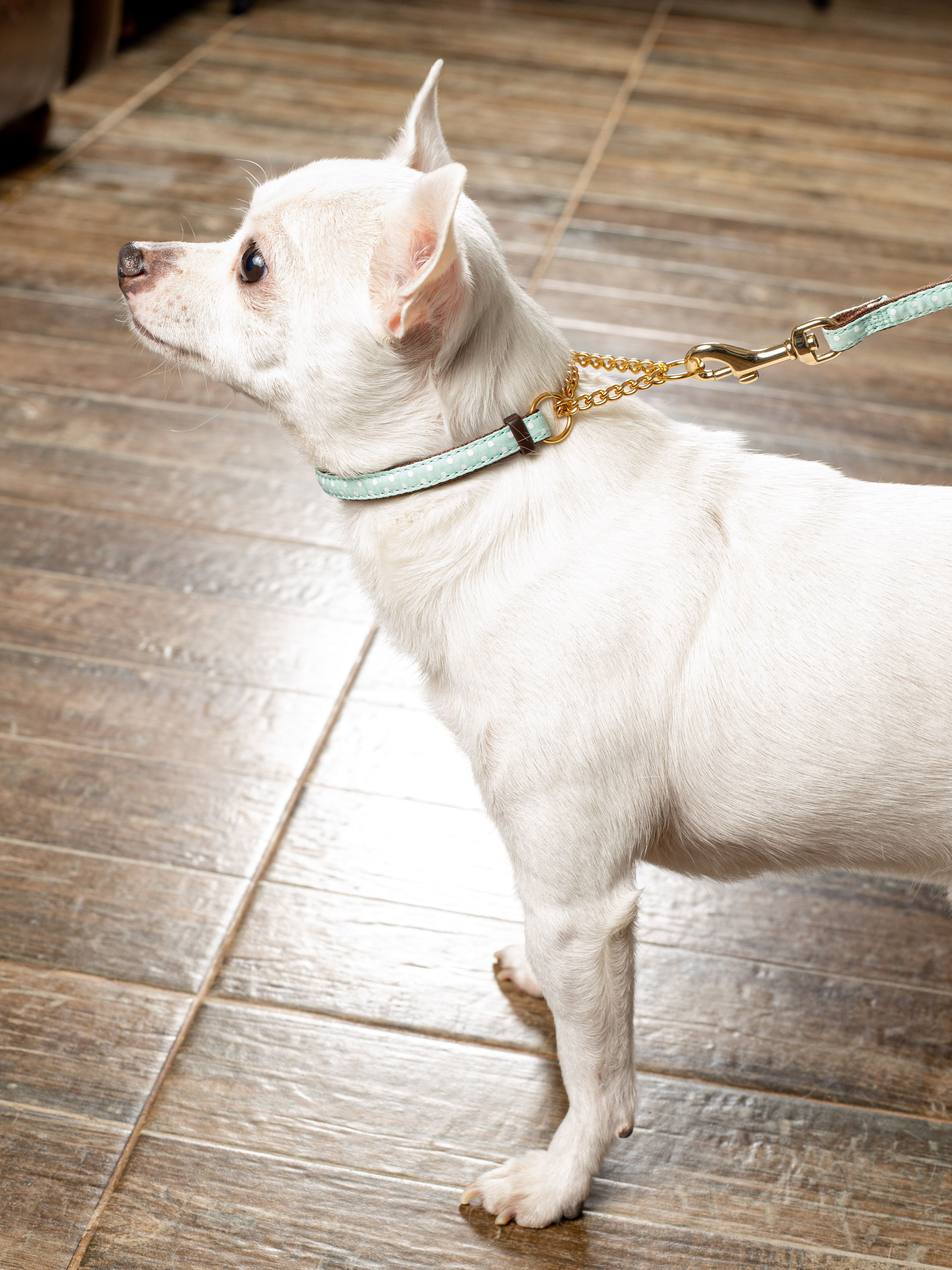 Product DAC0668611 photo 4