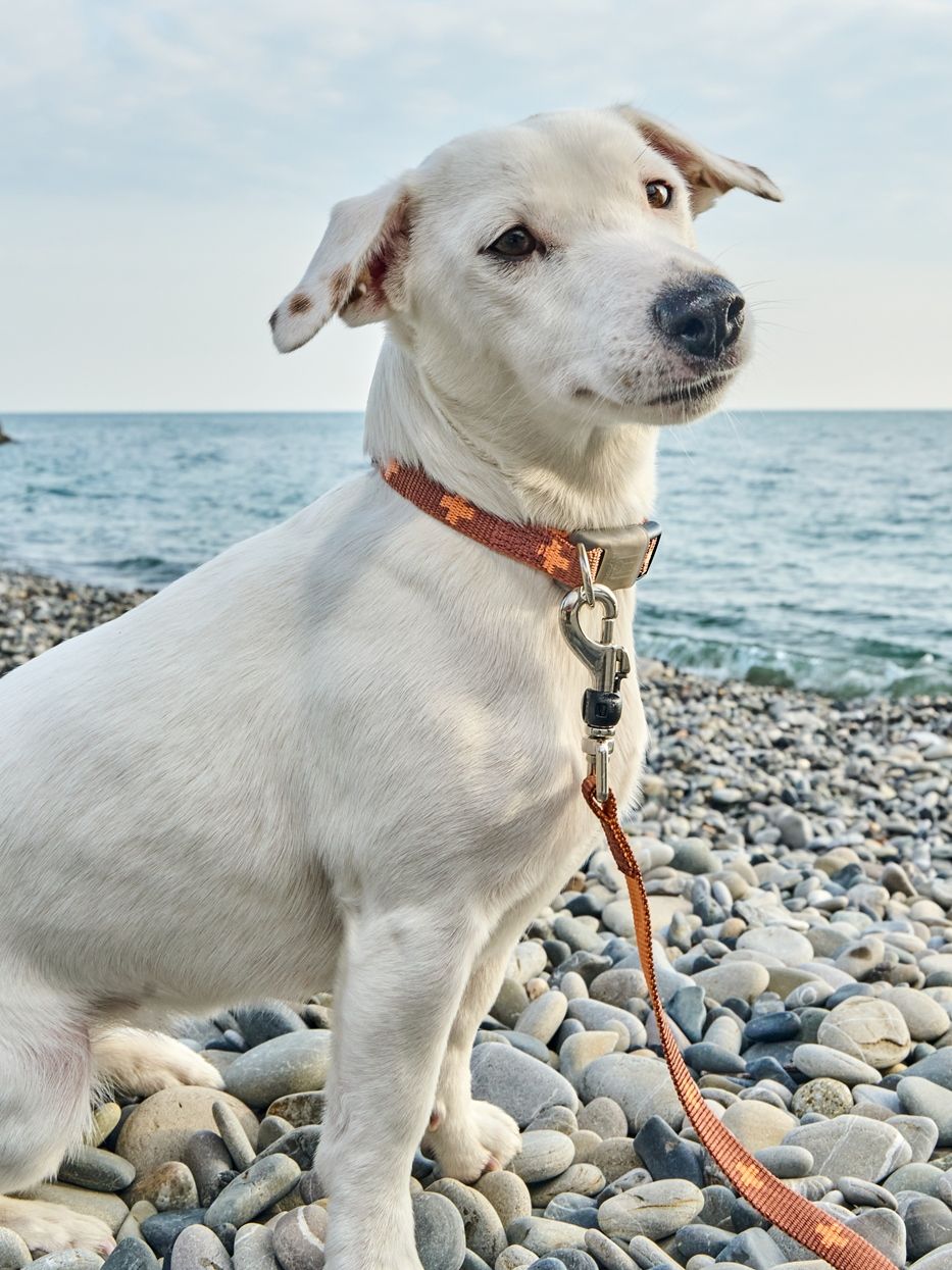 Produkt DAC0671673 Bild 9