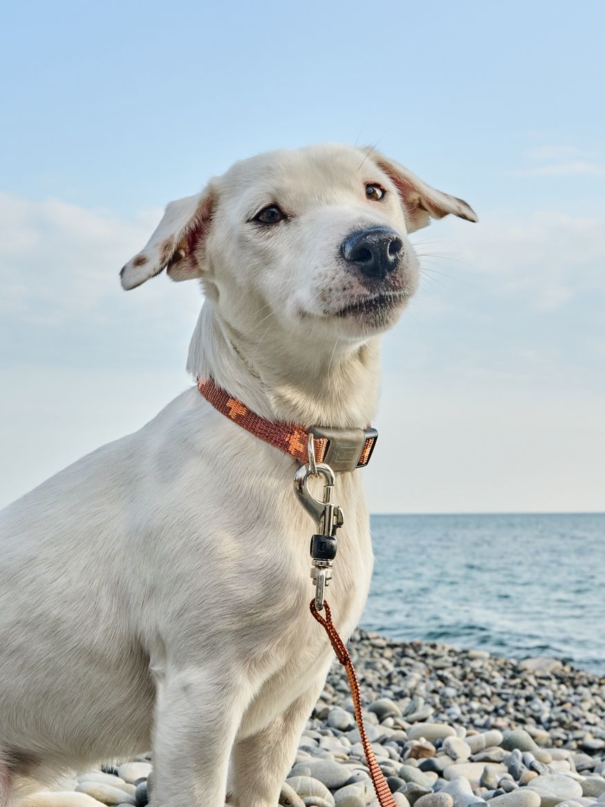 Produkt DAC0671673 Bild 10