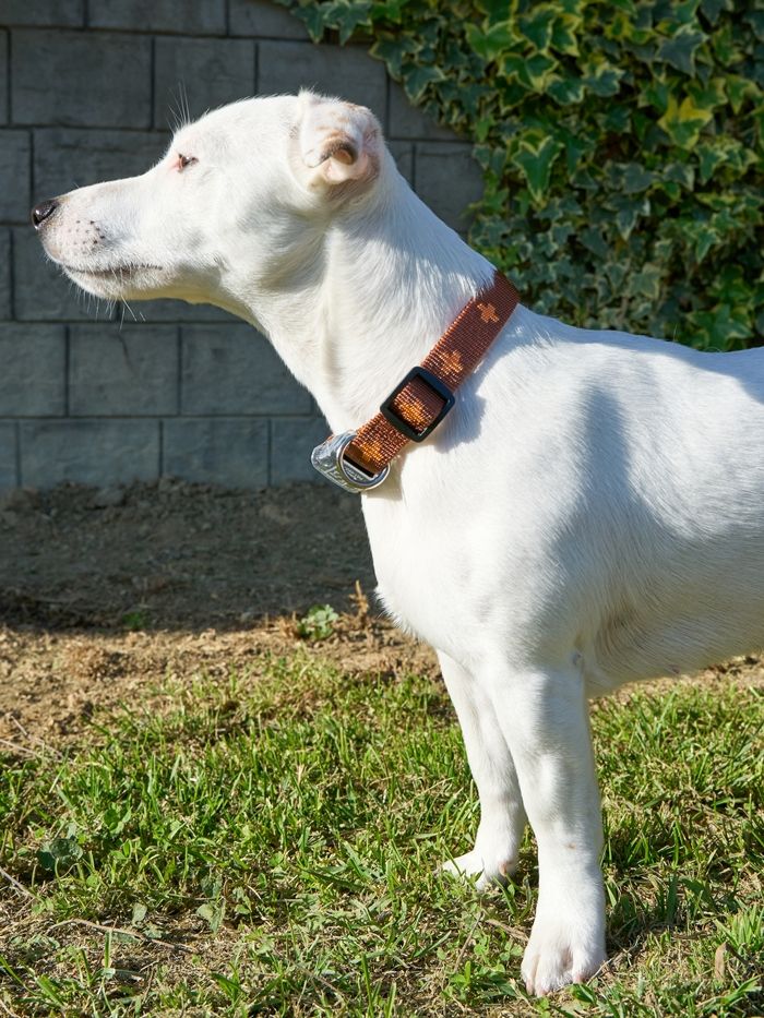 Produkt DAC0671673 Bild 14