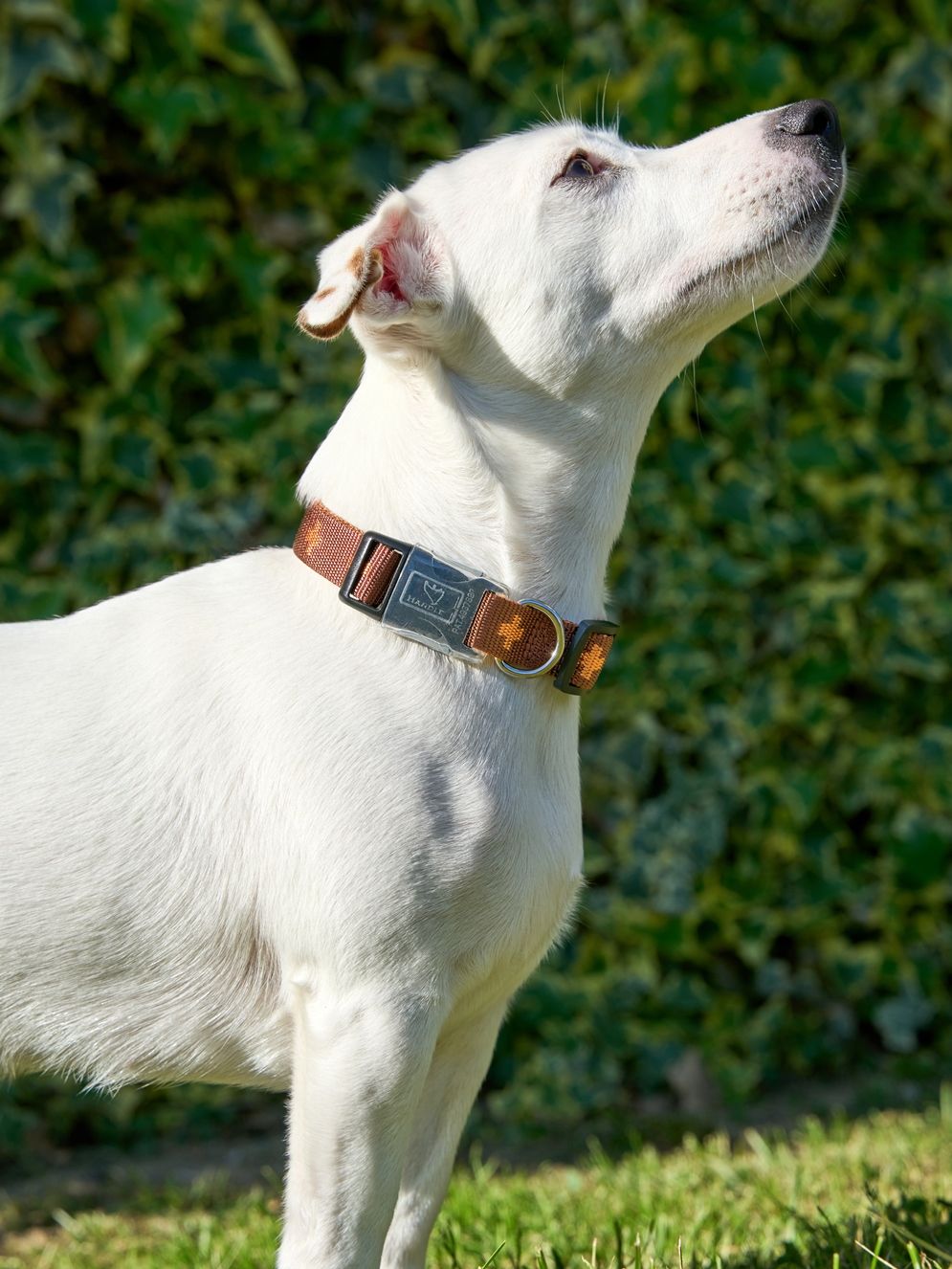 Produkt DAC0671673 Bild 15