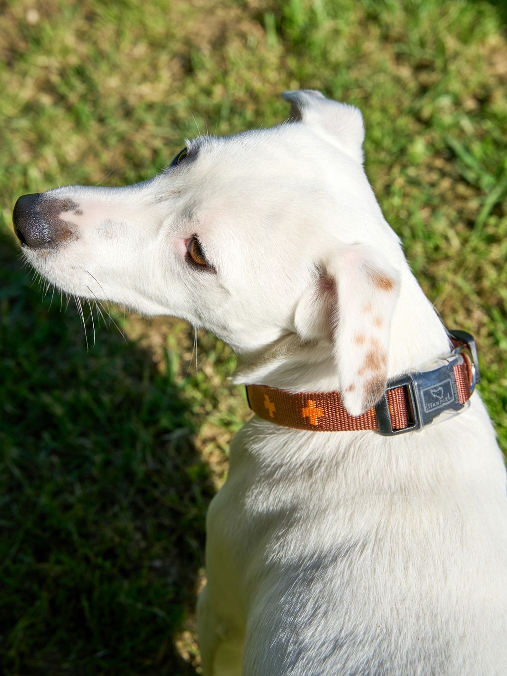 Produkt DAC0671673 Bild 16