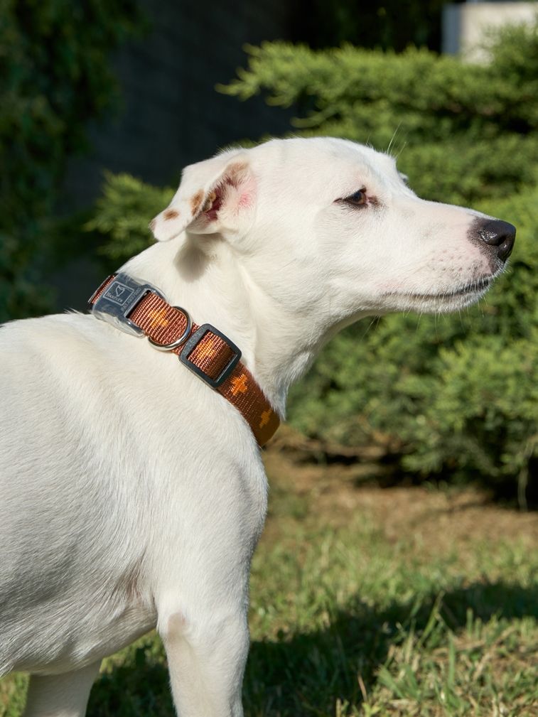 Produkt DAC0671673 Bild 17