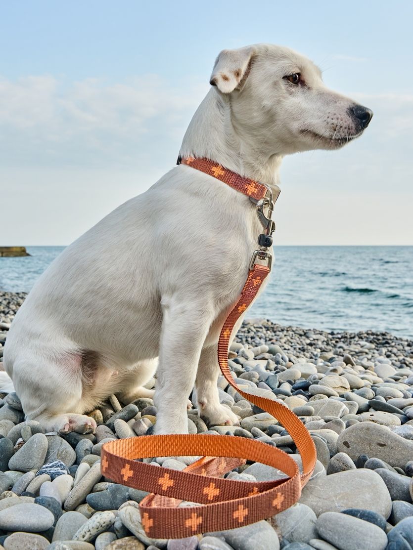 Produkt DAC0671673 Bild 4