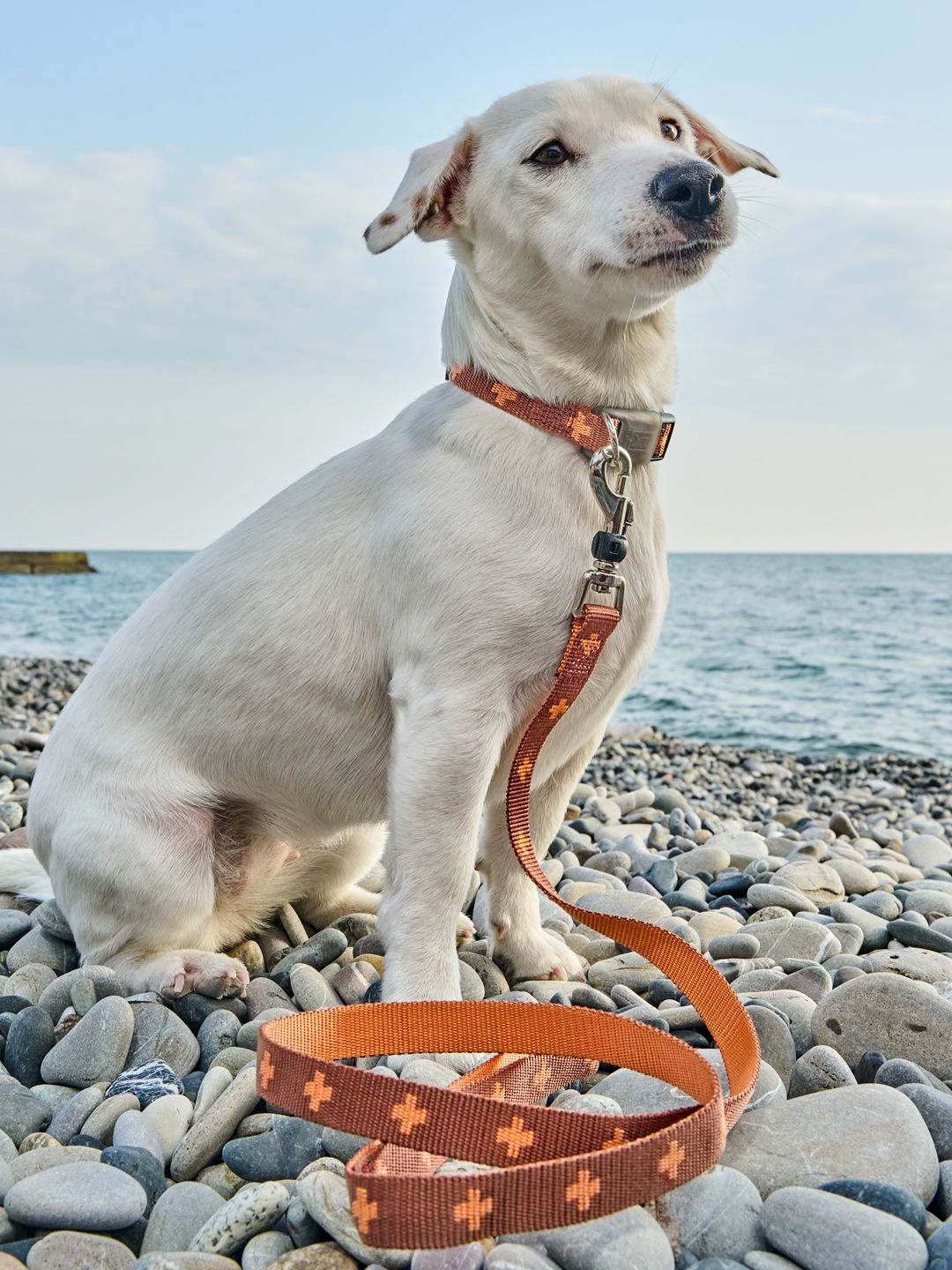 Produkt DAC0671673 Bild 5