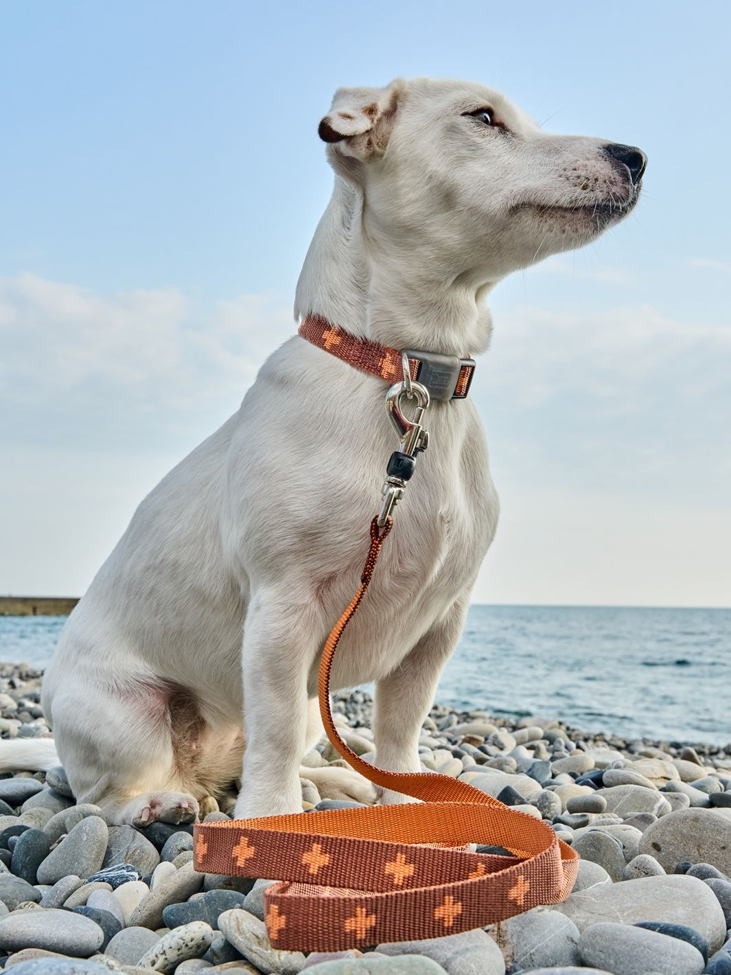 Produkt DAC0671673 Bild 7