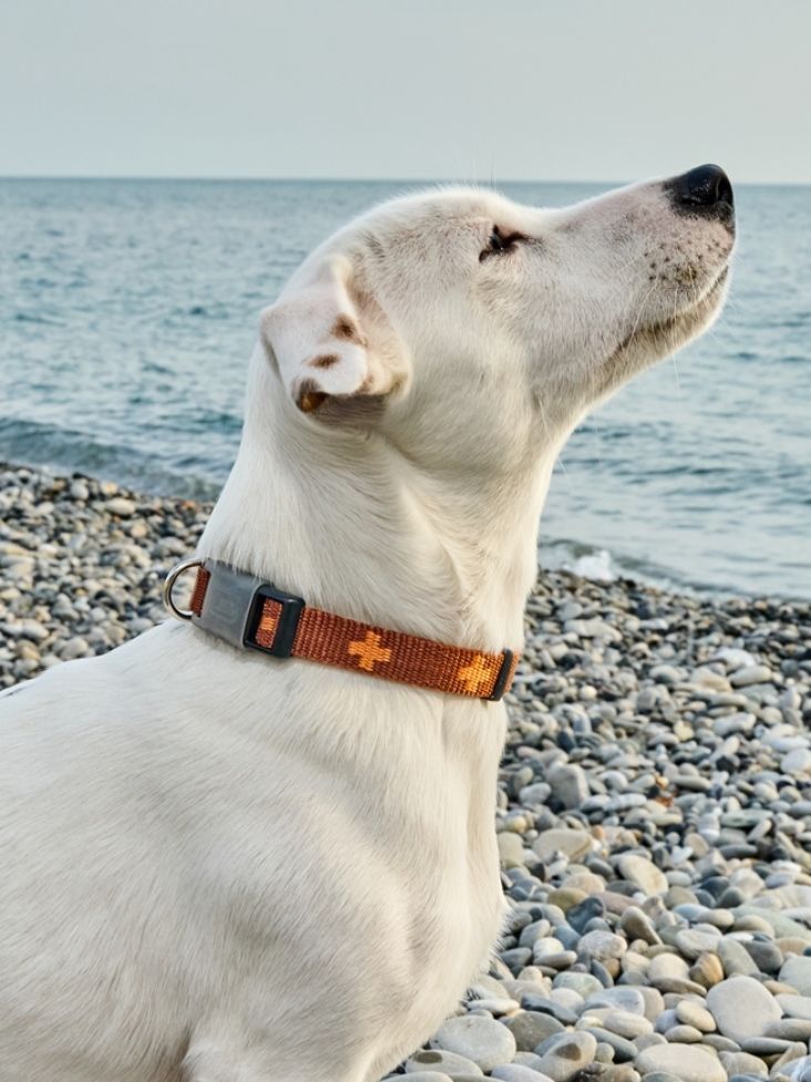 Produkt DAC0671673 Bild 8