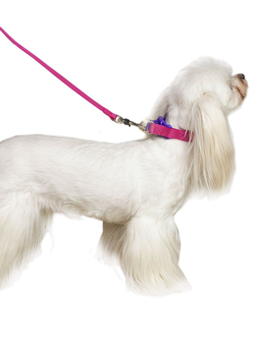 Product DAC0679723 photo 3