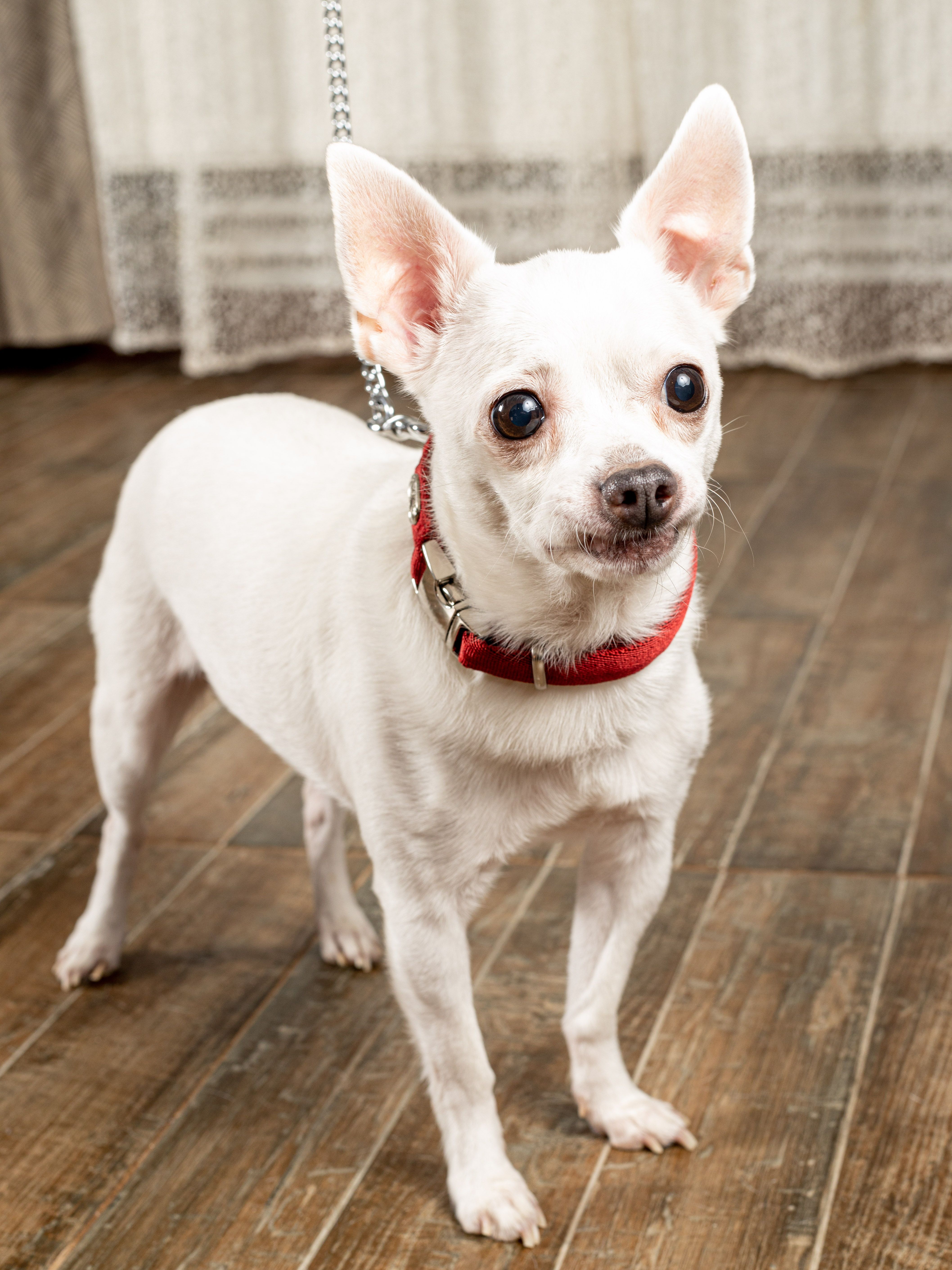 Product DAC0682723 photo 5