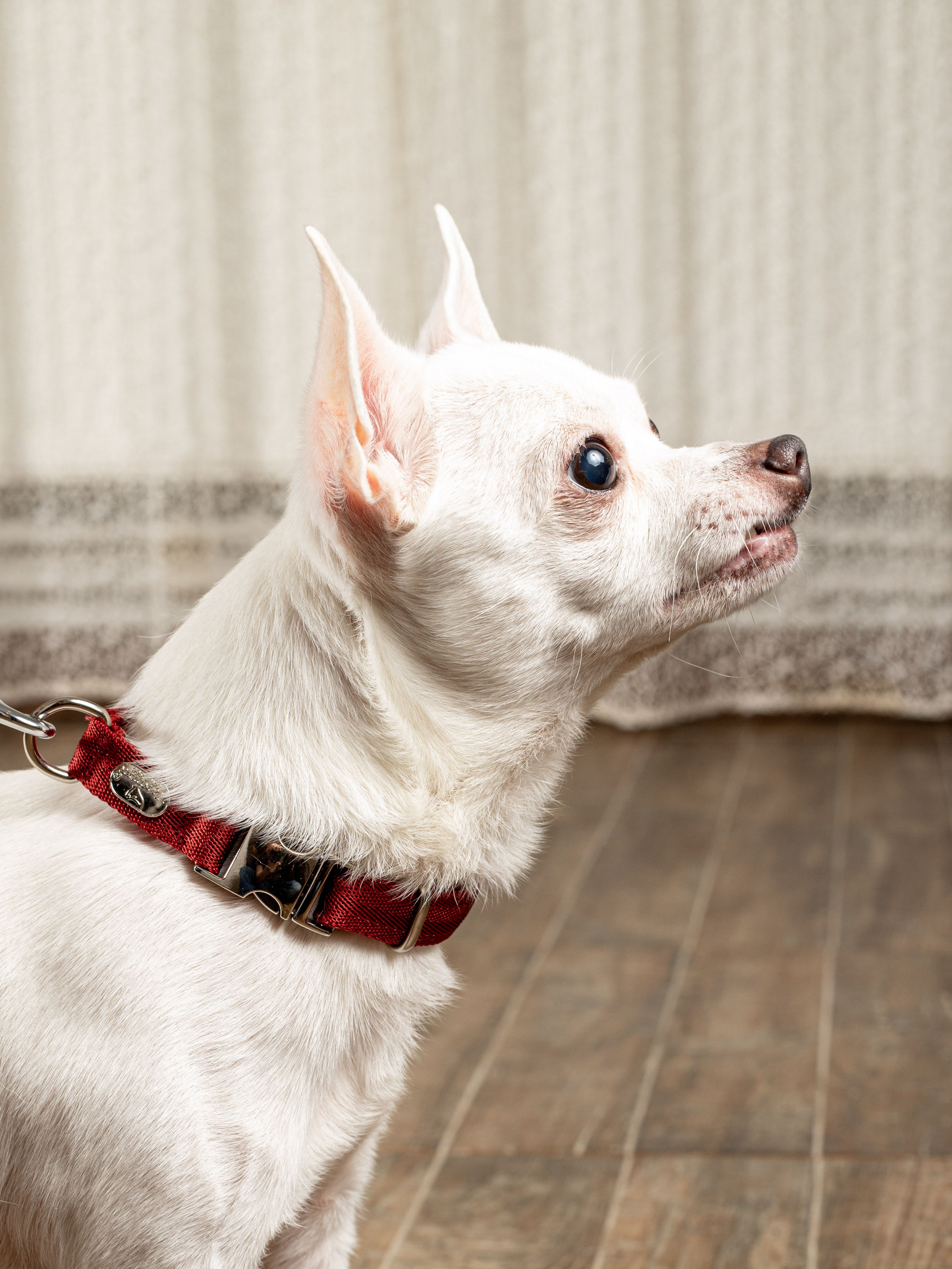 Product DAC0682723 photo 6