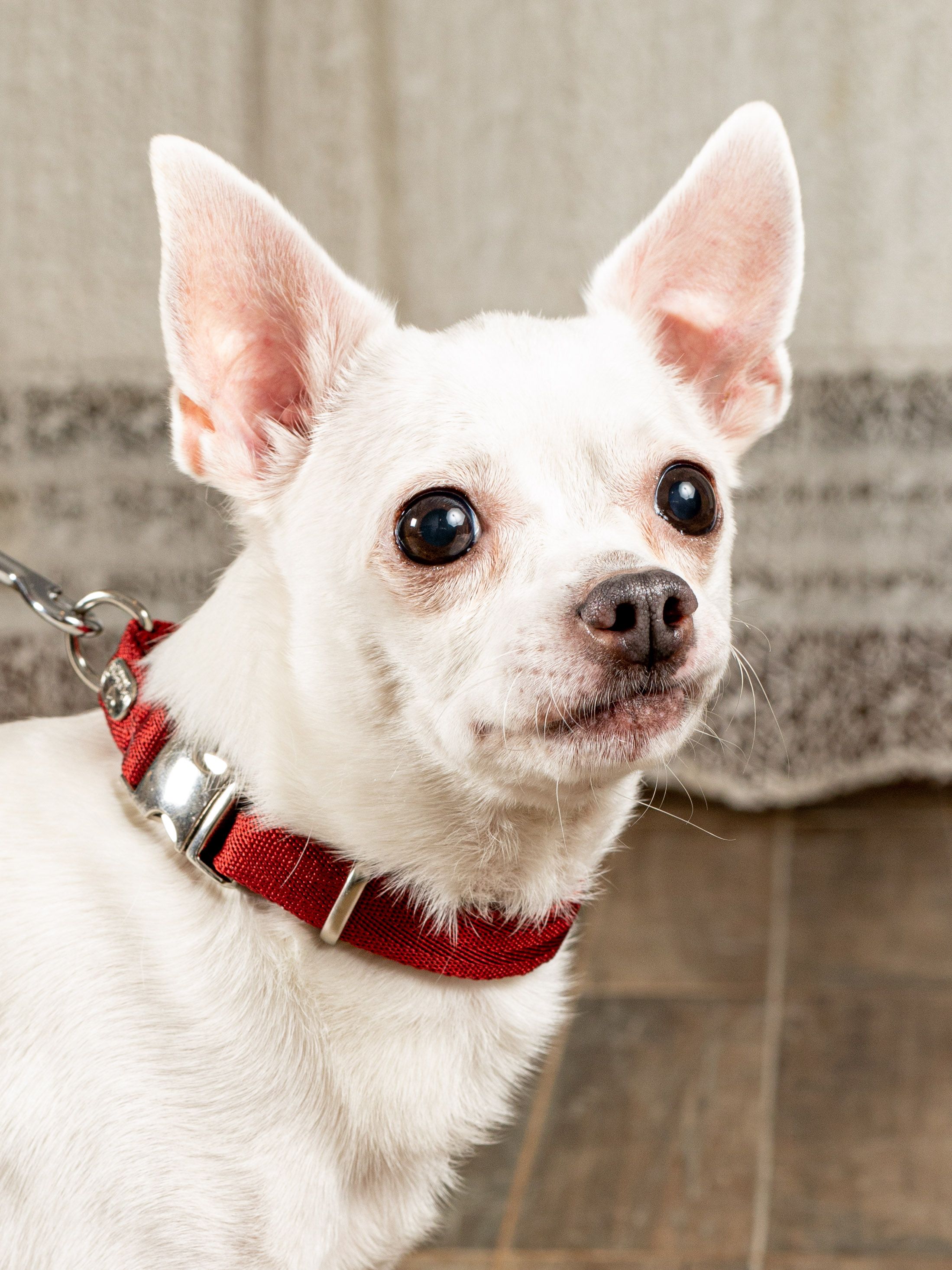 Product DAC0682723 photo 7