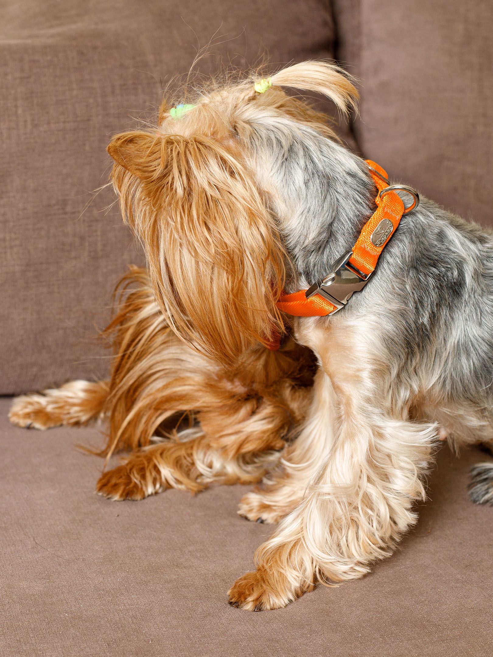 Product DAC0682730 photo 4