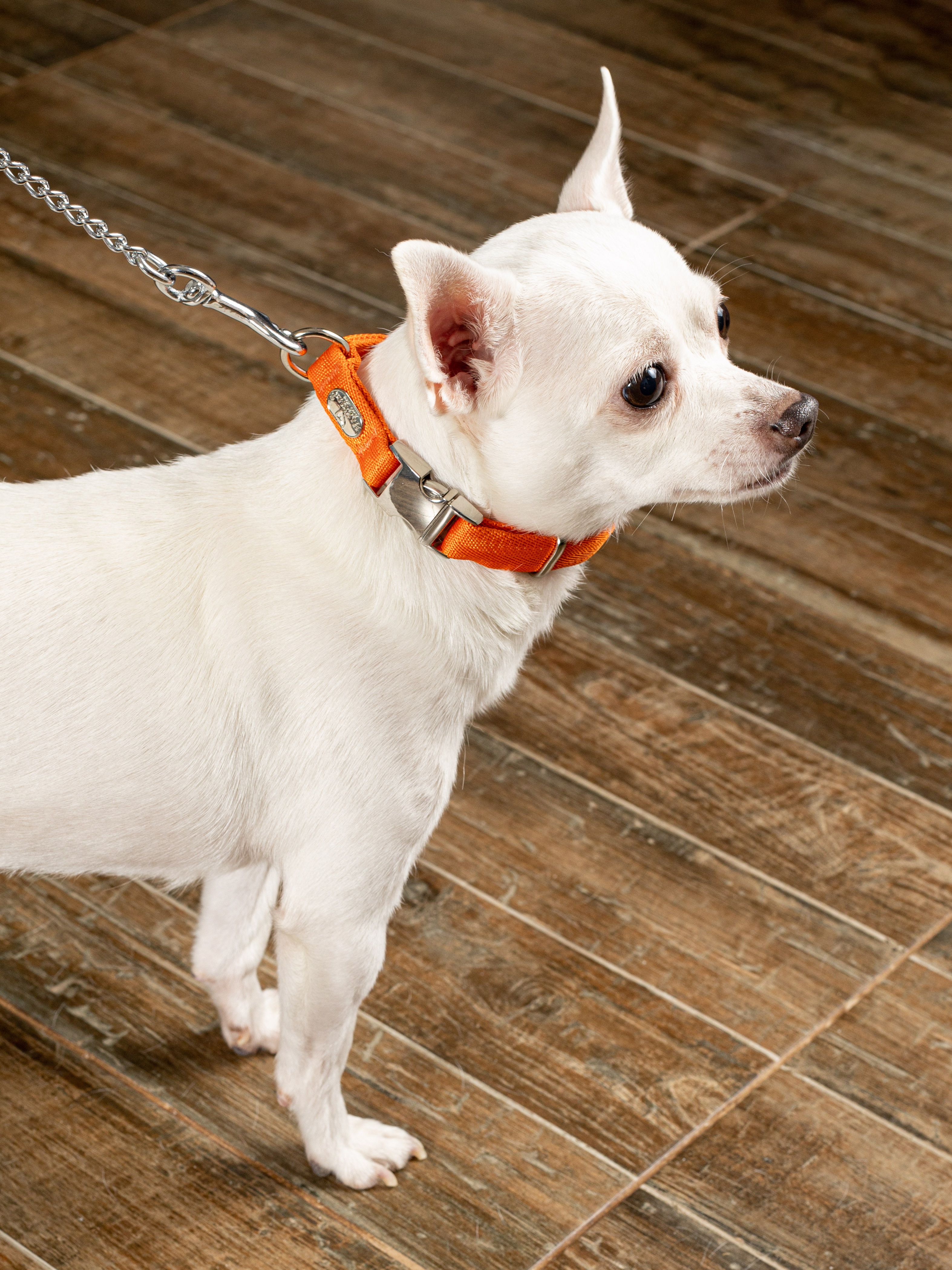 Product DAC0682730 photo 5