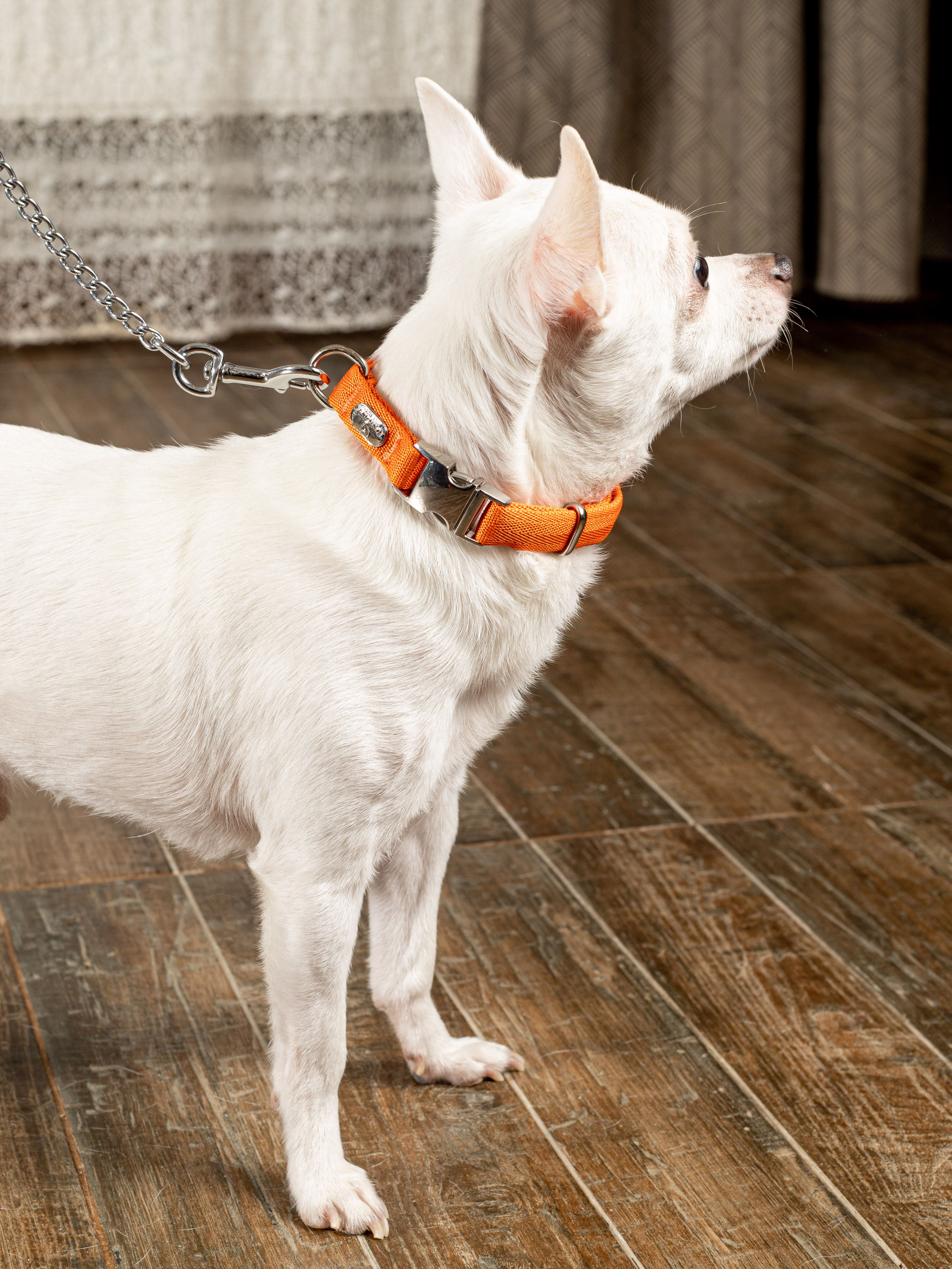 Product DAC0682730 photo 7