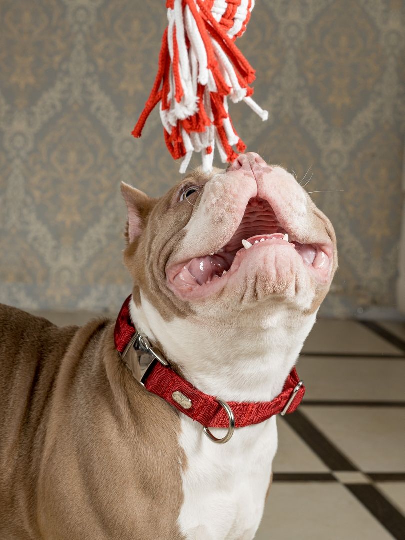 Produkt DAC0682761 Bild 14