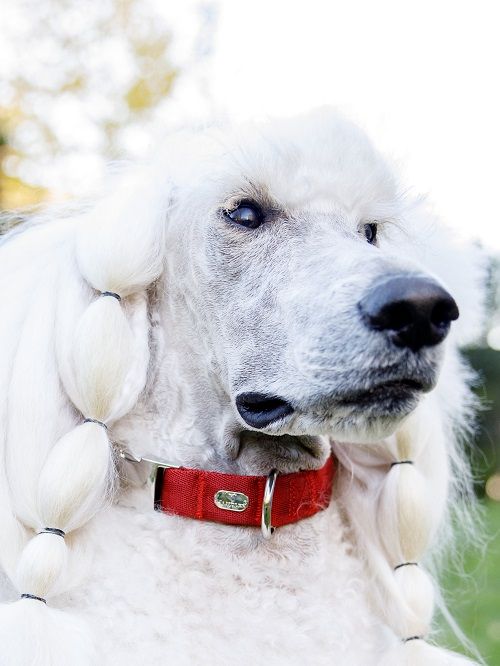 Produkt DAC0682761 Bild 7