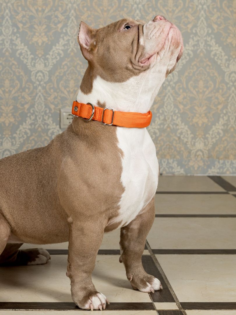 Product DAC0682778 photo 10