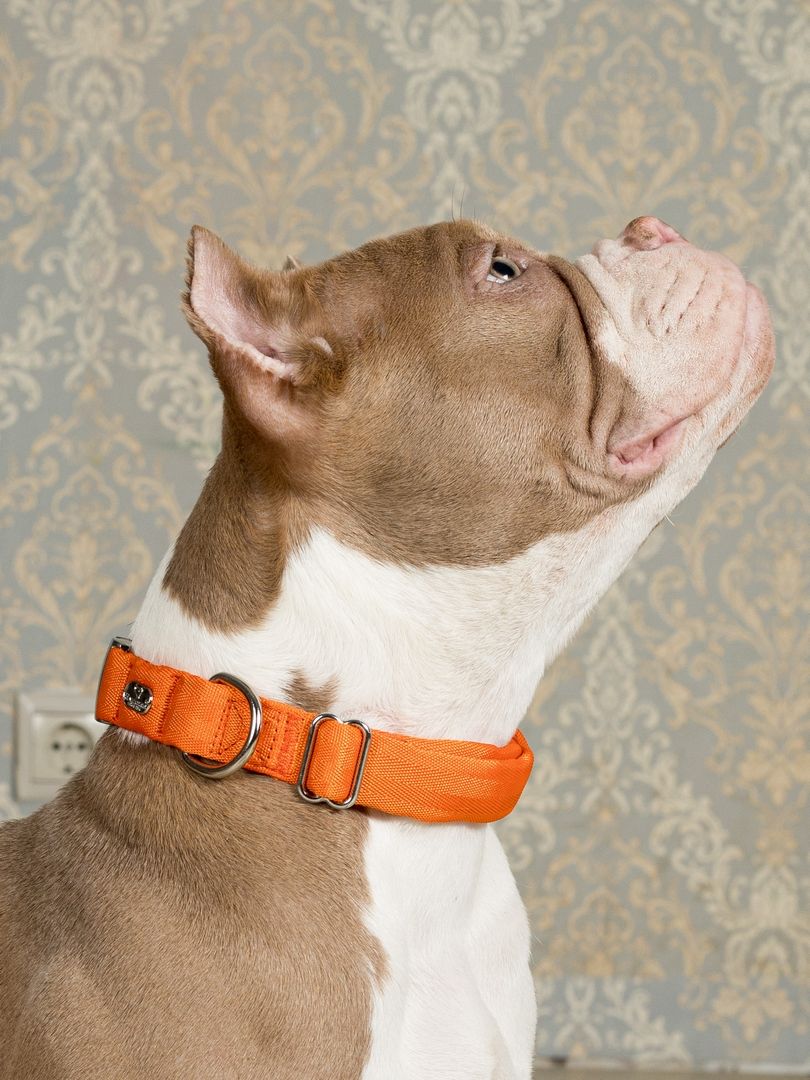 Product DAC0682778 photo 18