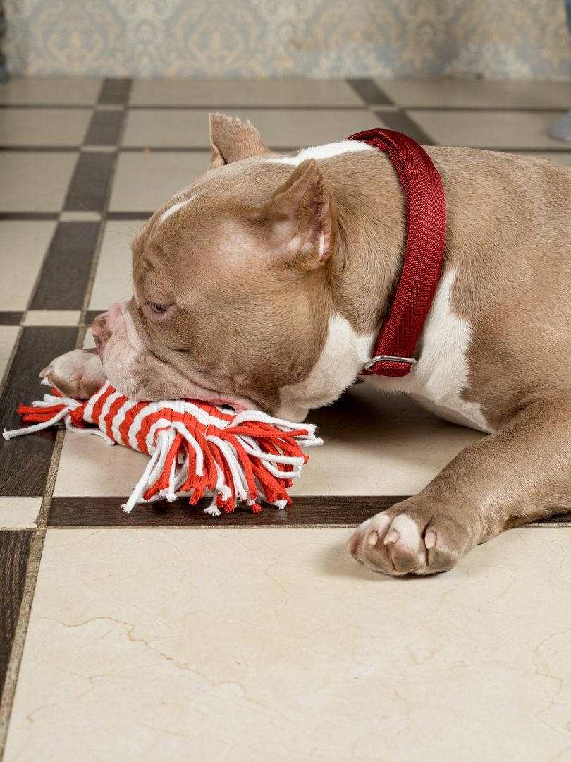 Product DAC0682808 photo 15