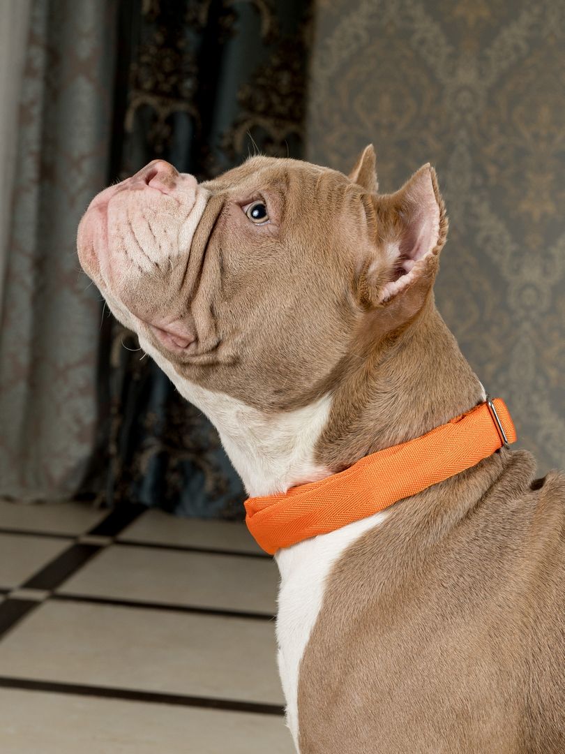 Product DAC0682815 photo 15