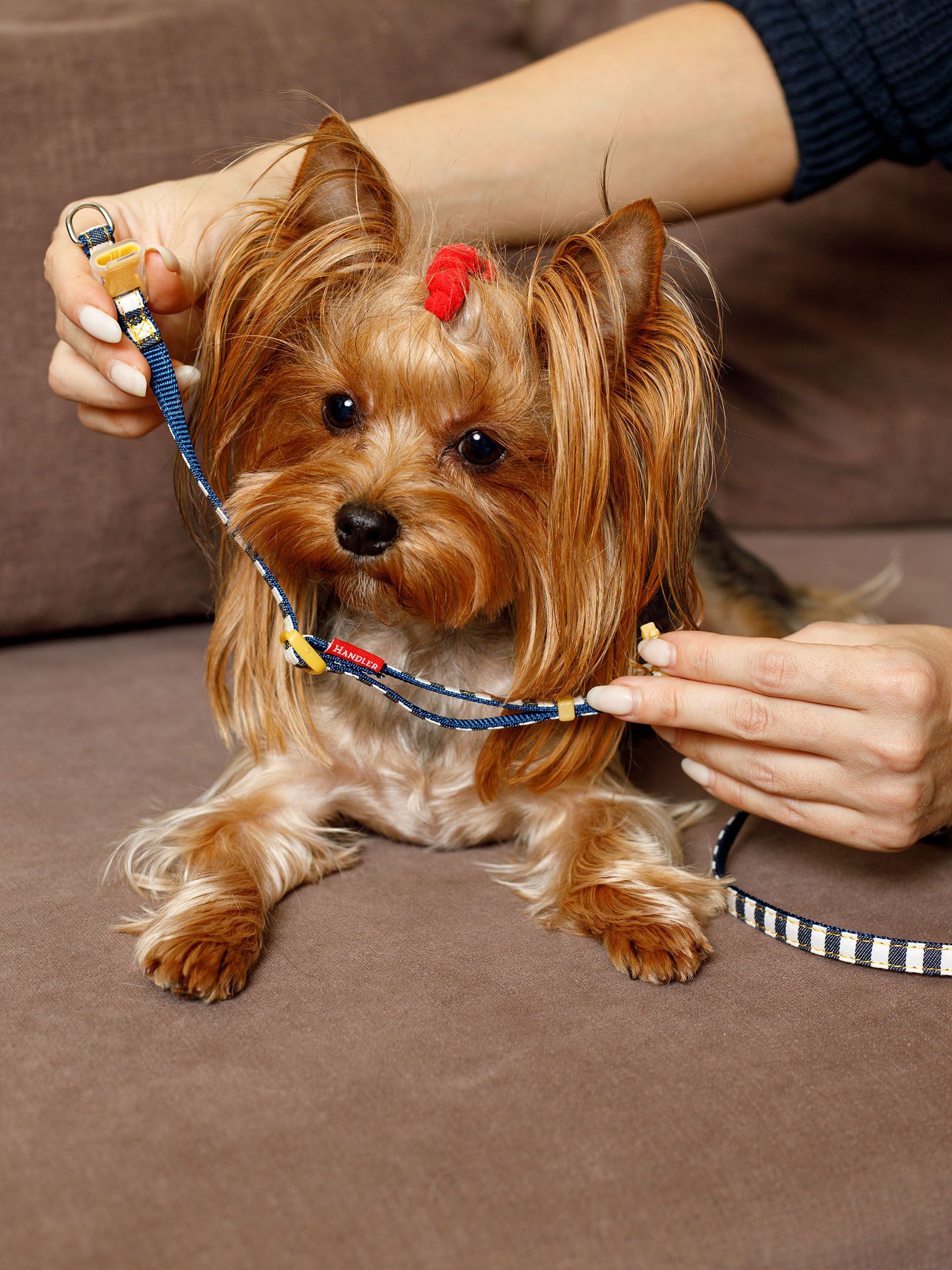 Produkt DAC0684246 Bild 5