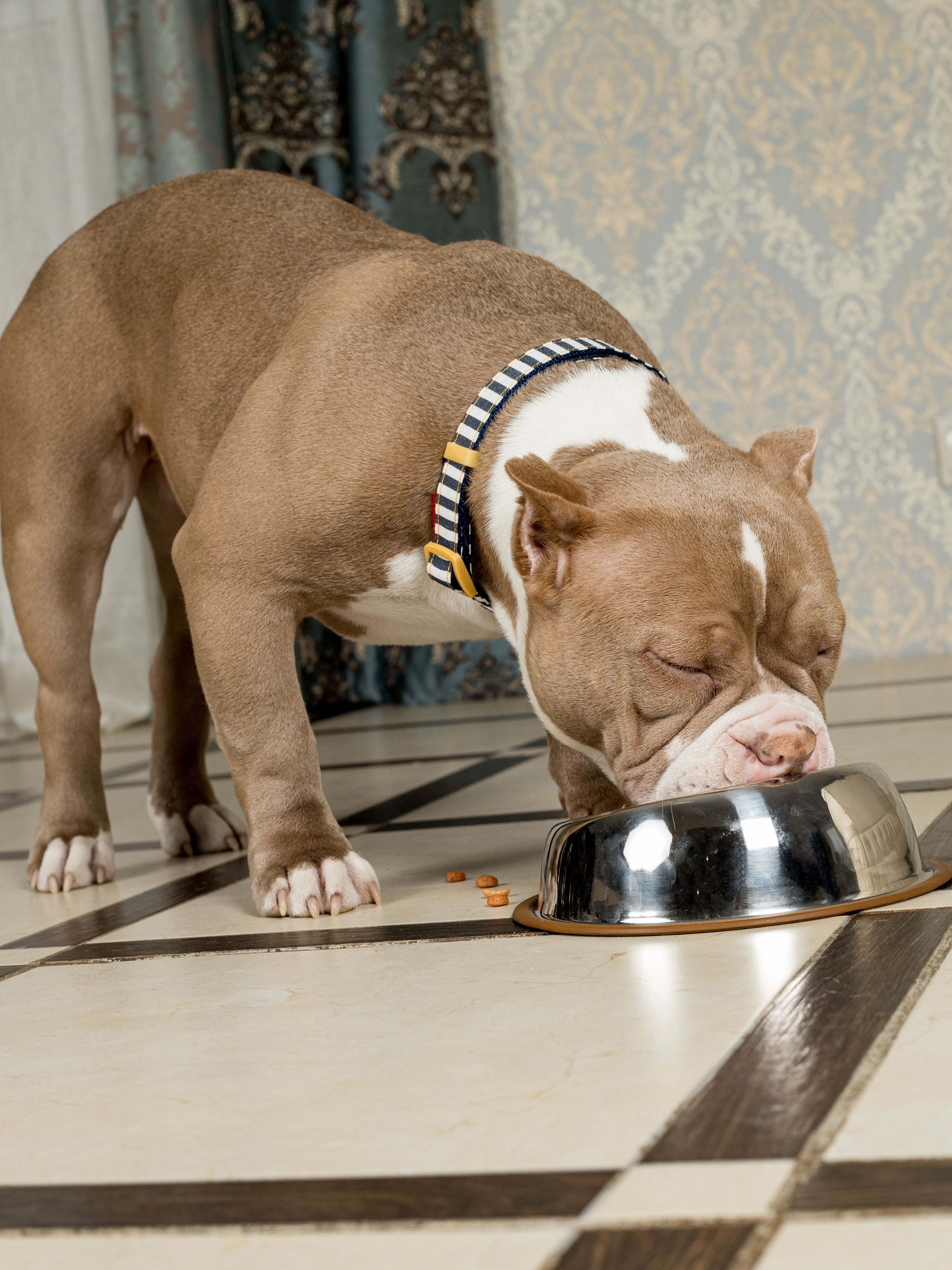 Produkt DAC0684260 Bild 10