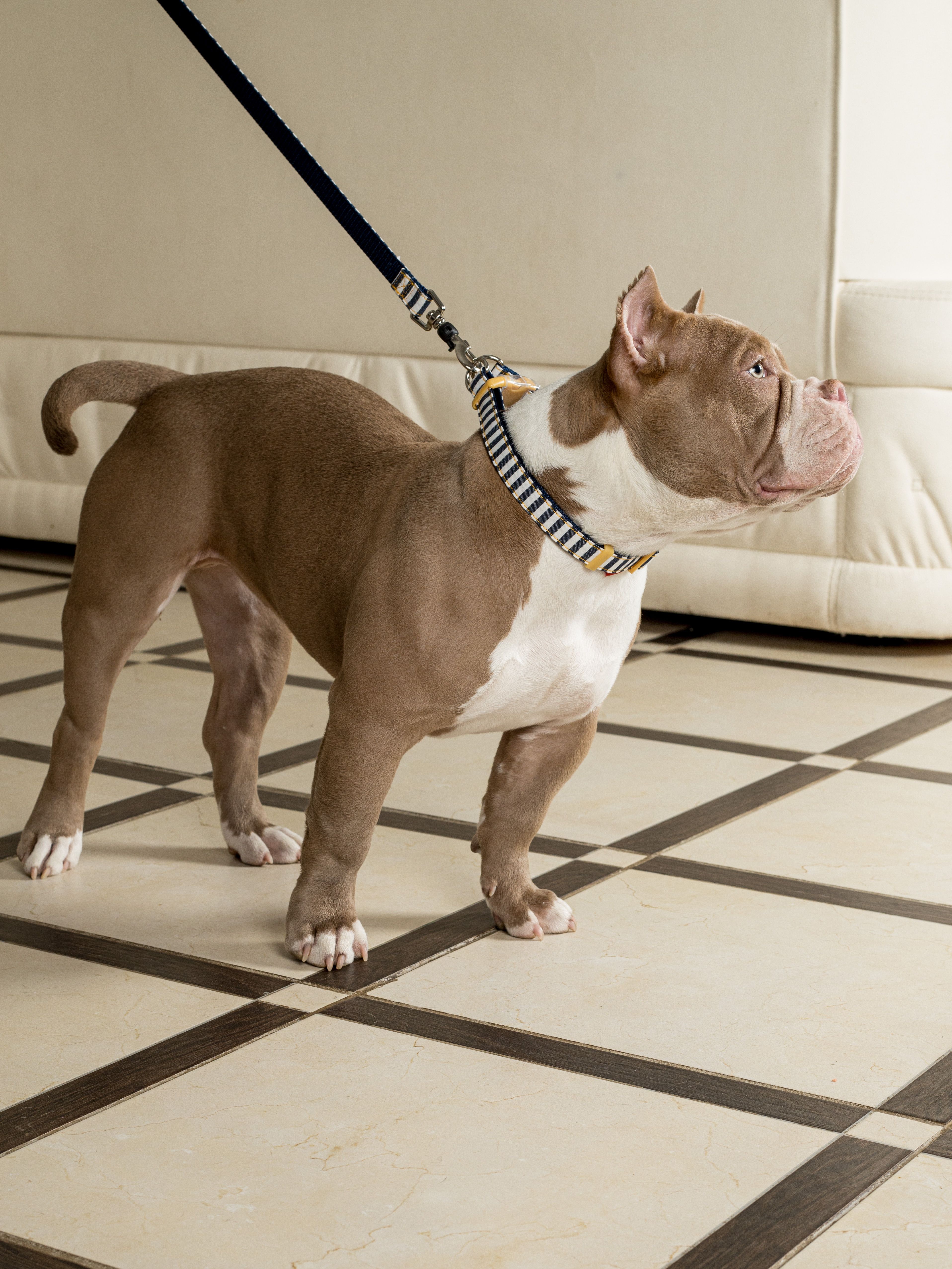 Produkt DAC0684260 Bild 3