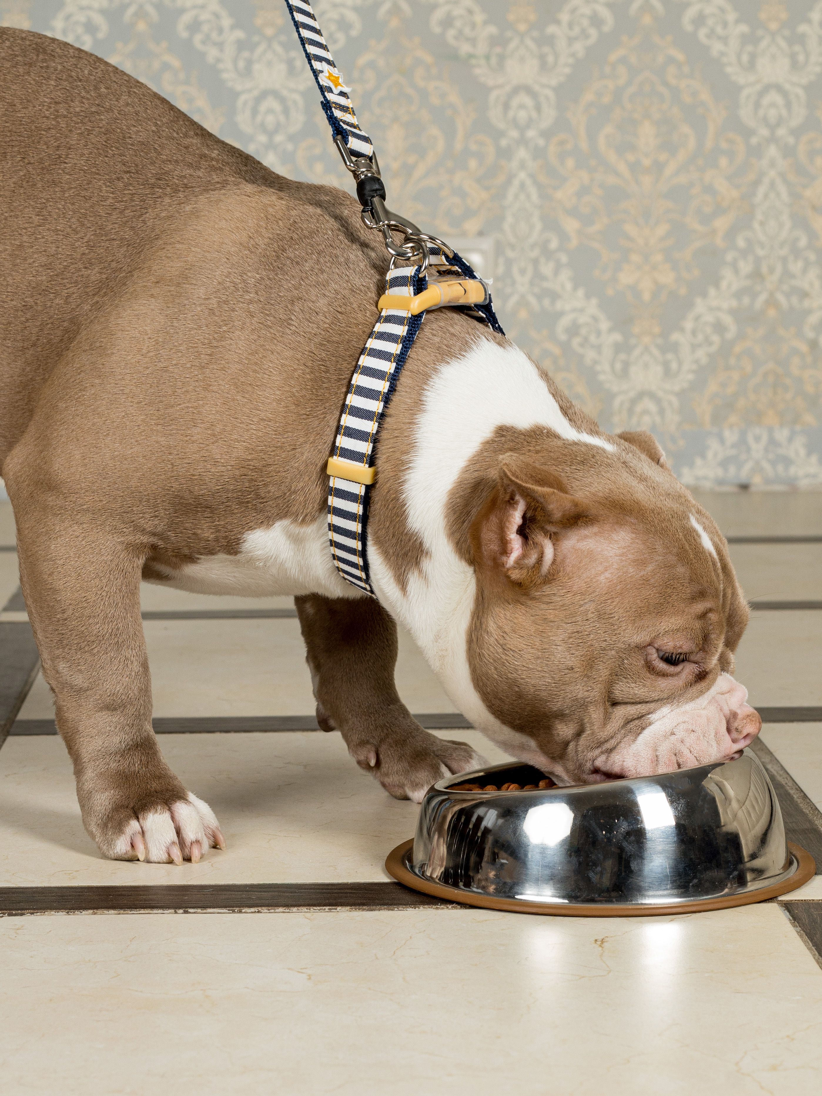 Produkt DAC0684260 Bild 5