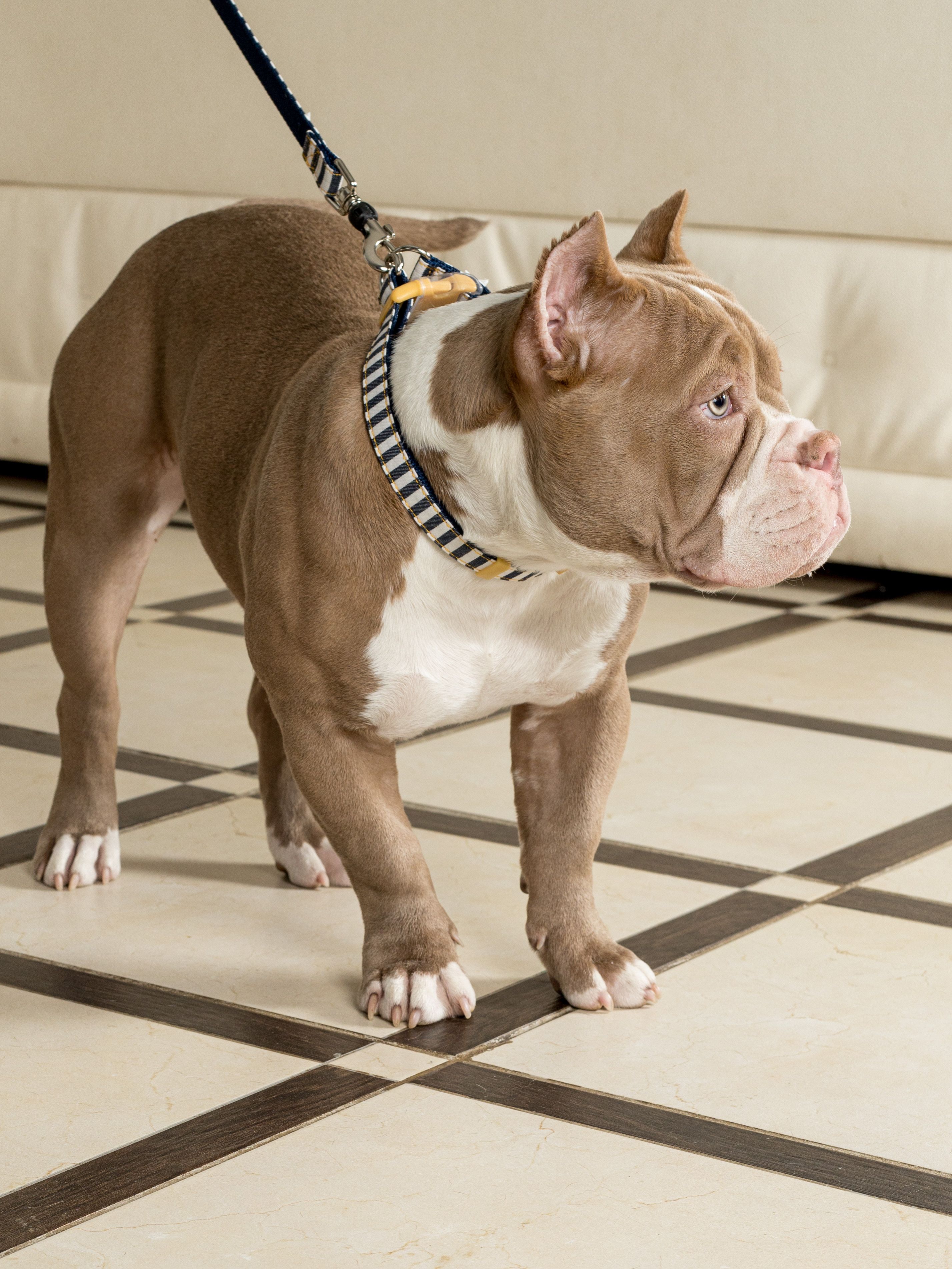 Produkt DAC0684260 Bild 8