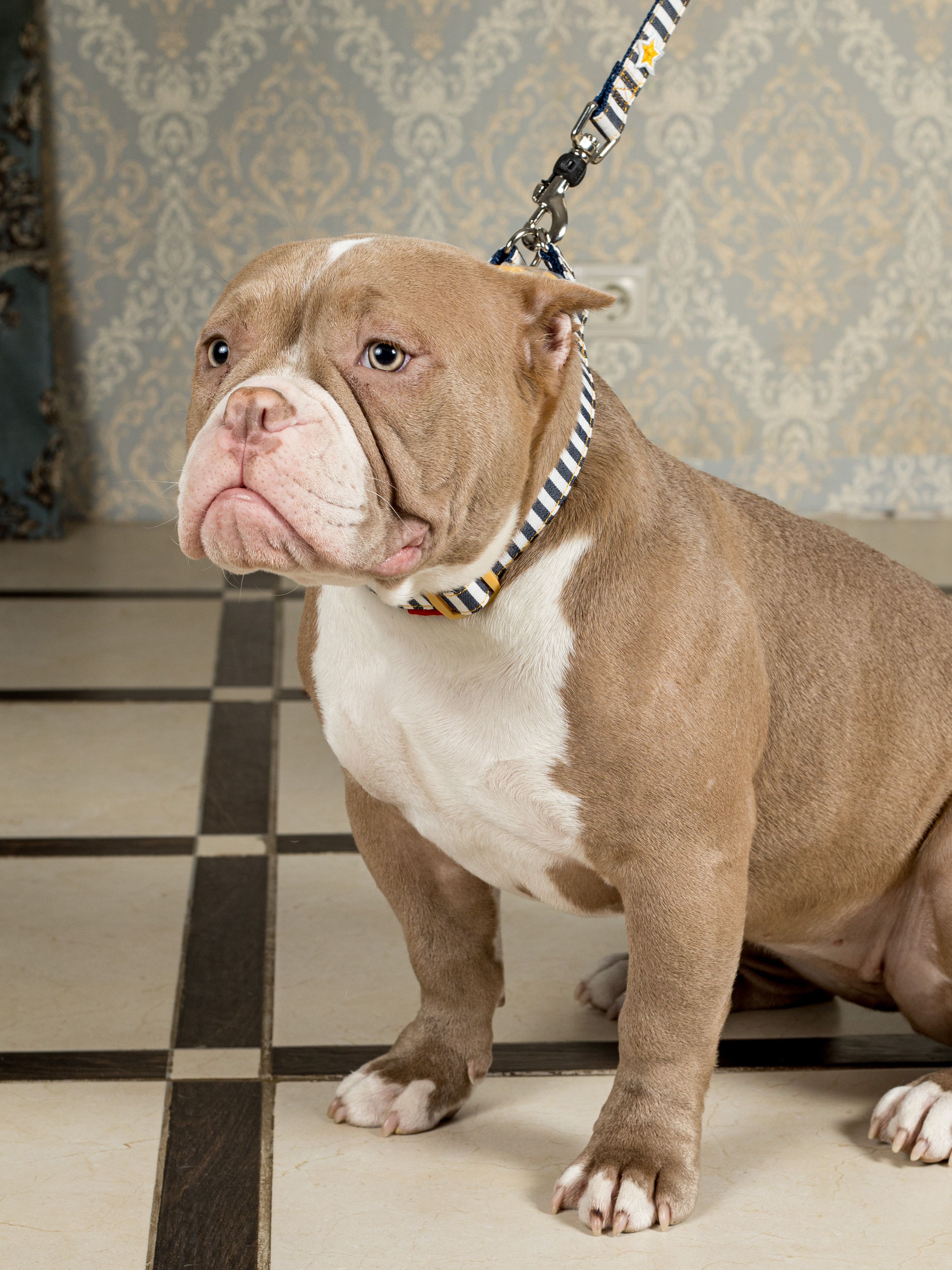 Produkt DAC0684260 Bild 9