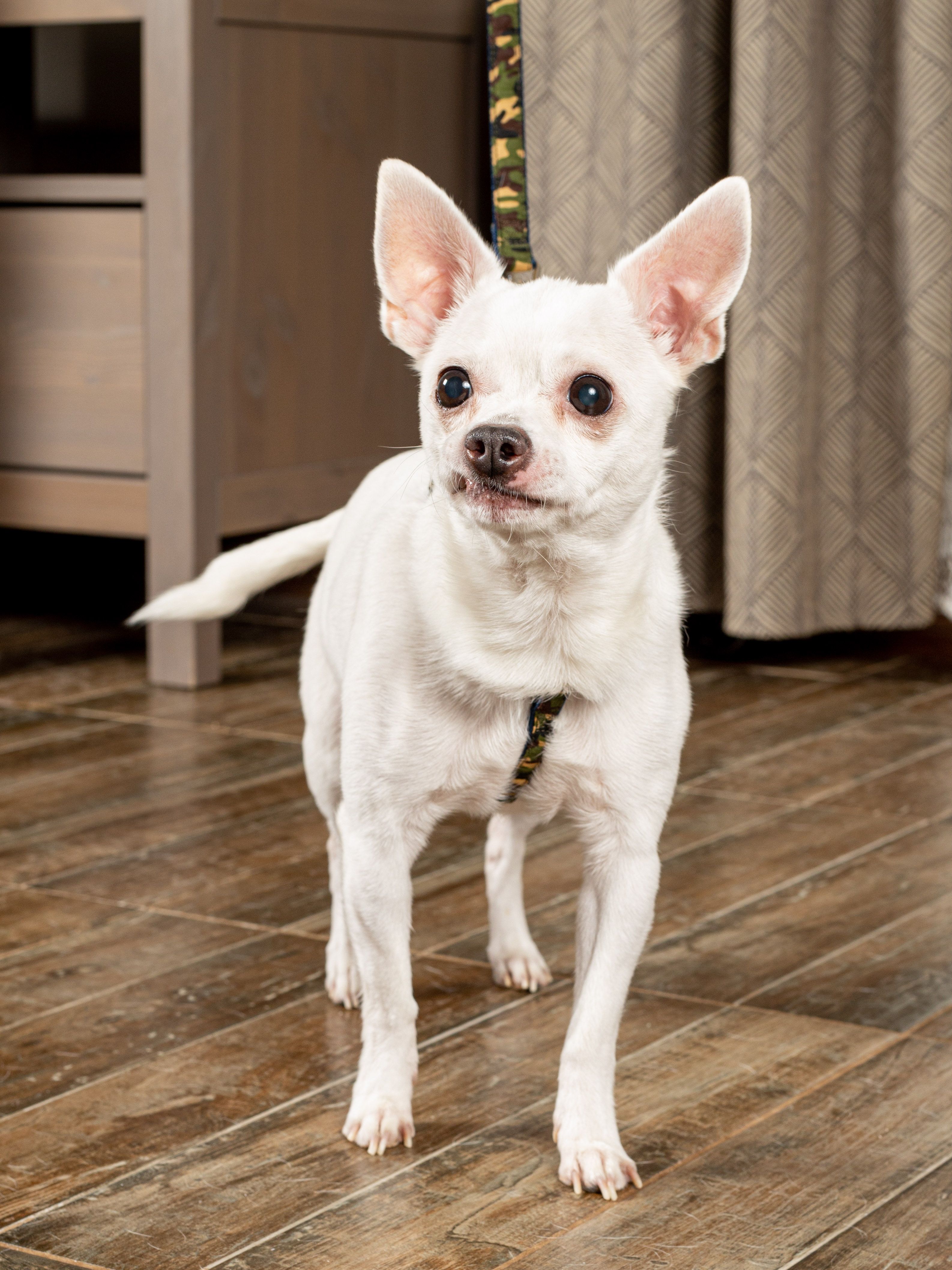 Product DAH0513017 photo 2