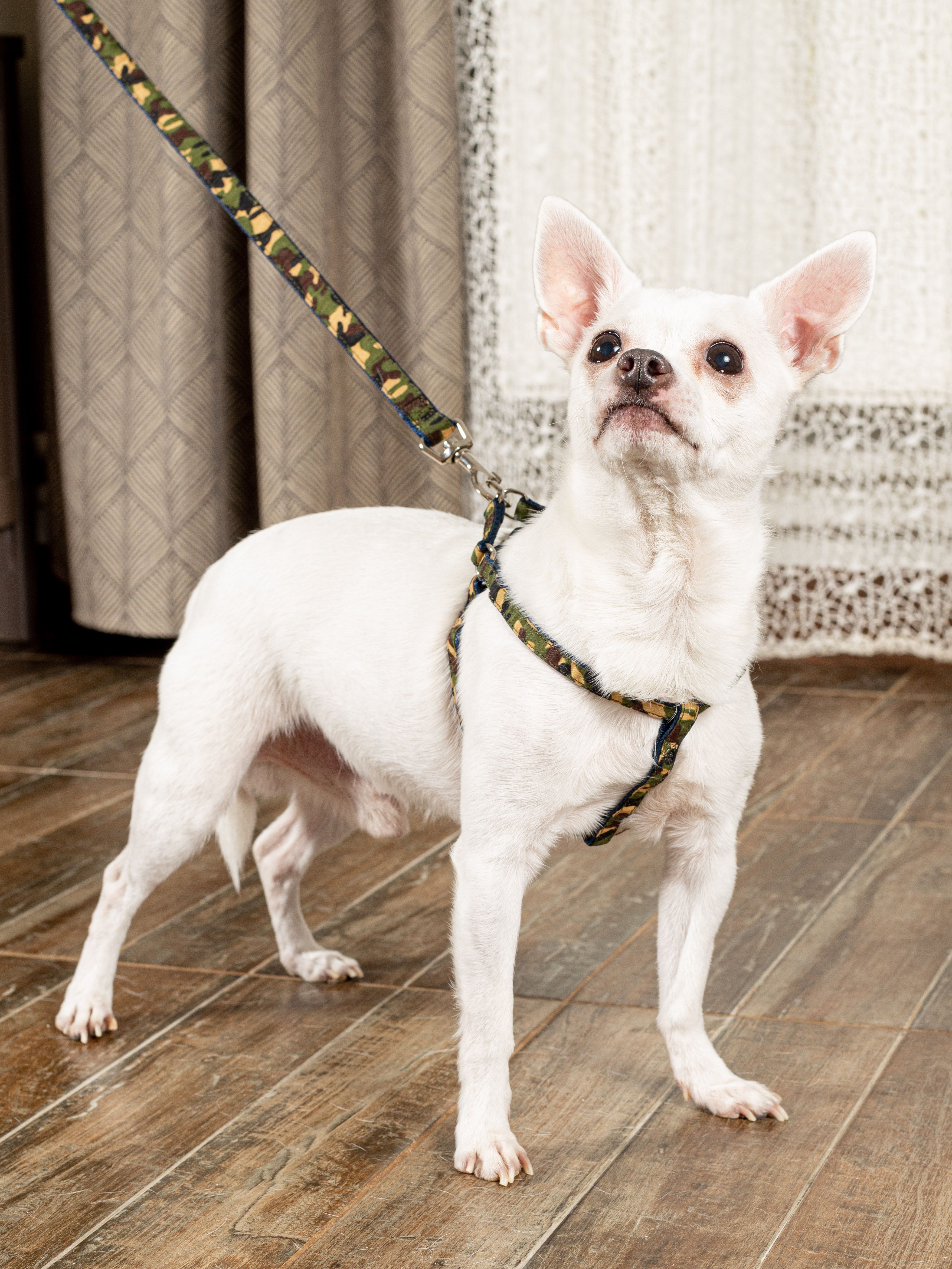 Product DAH0513017 photo 3