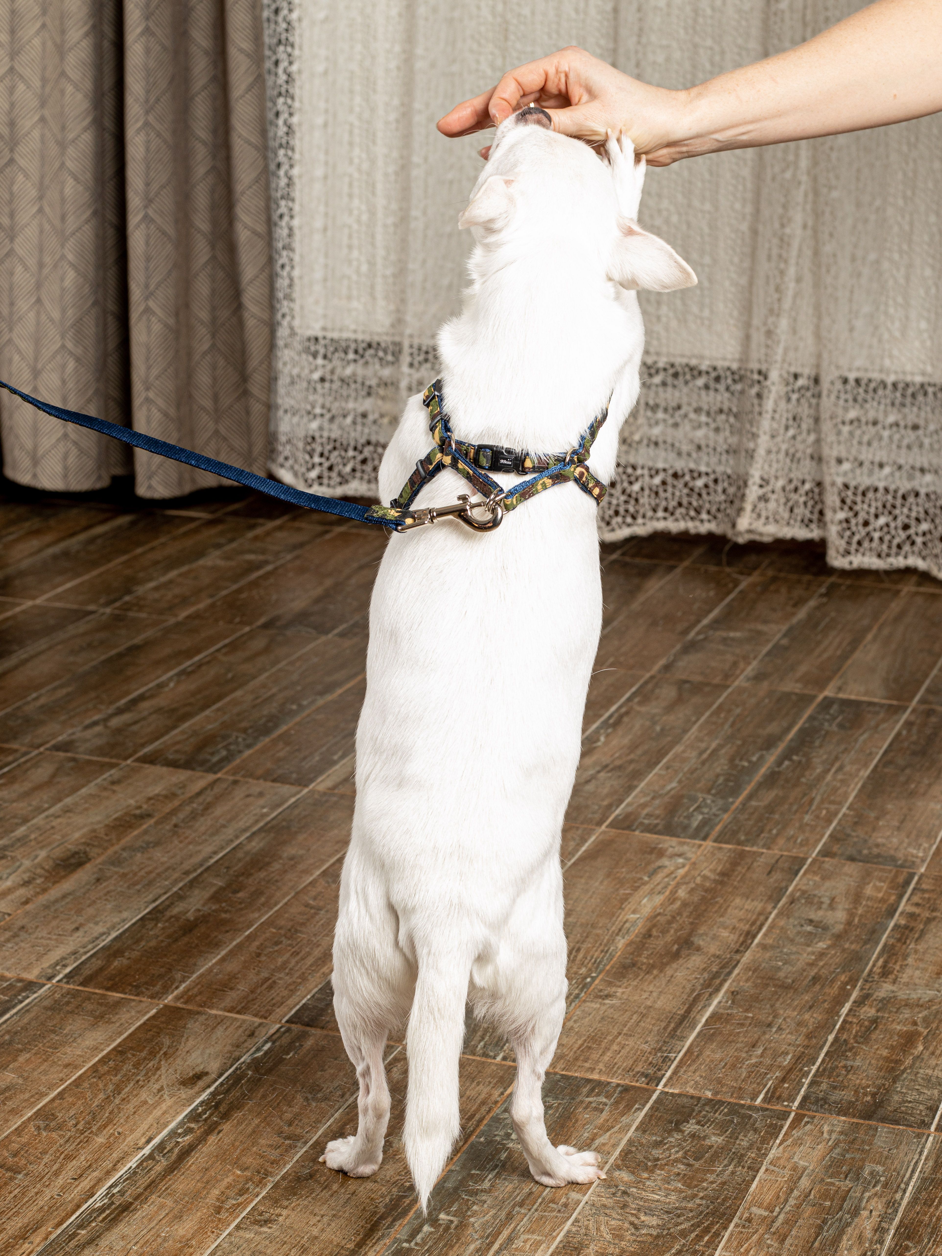 Product DAH0513017 photo 7