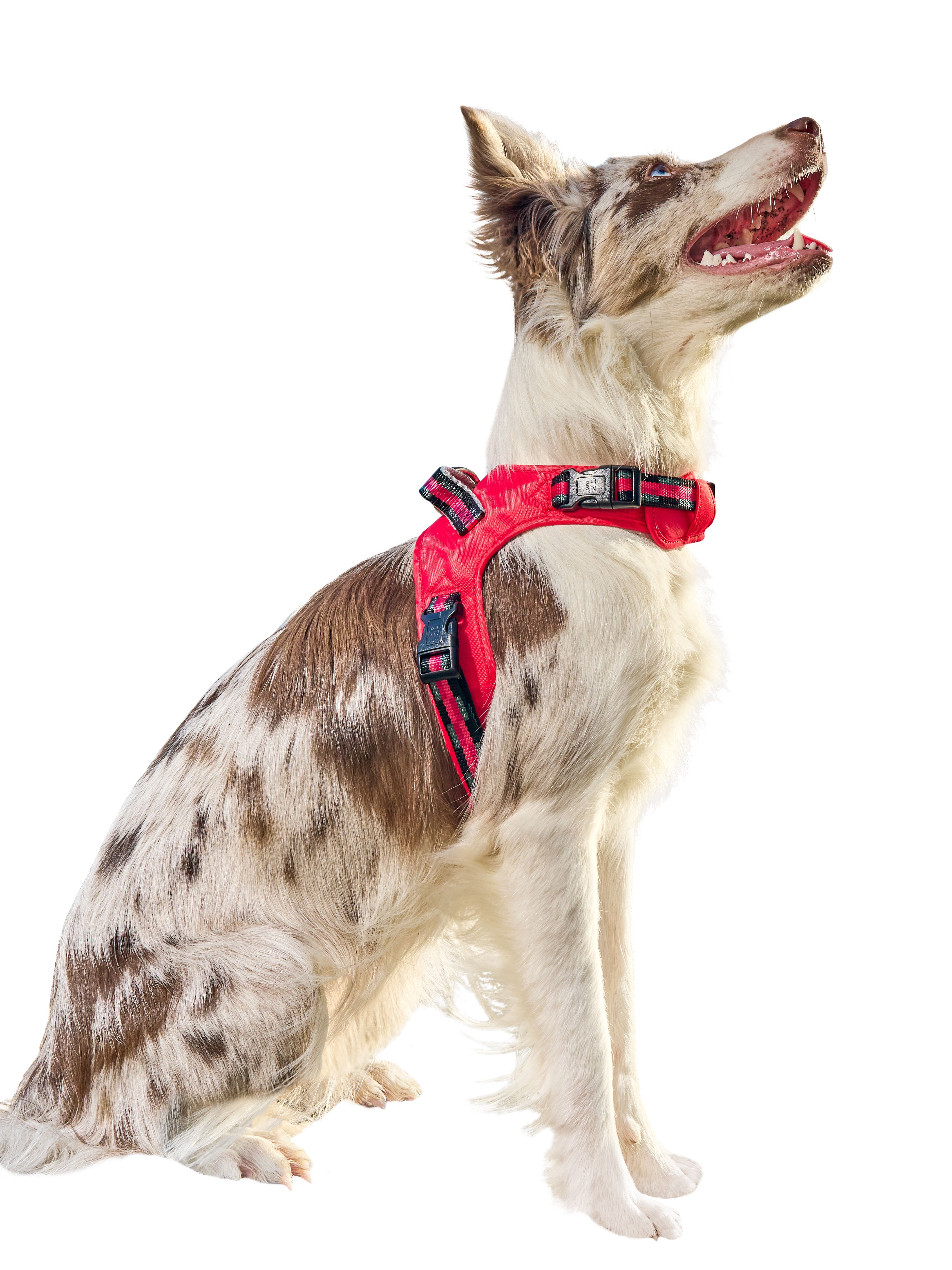 Product DAH0640549 photo 10