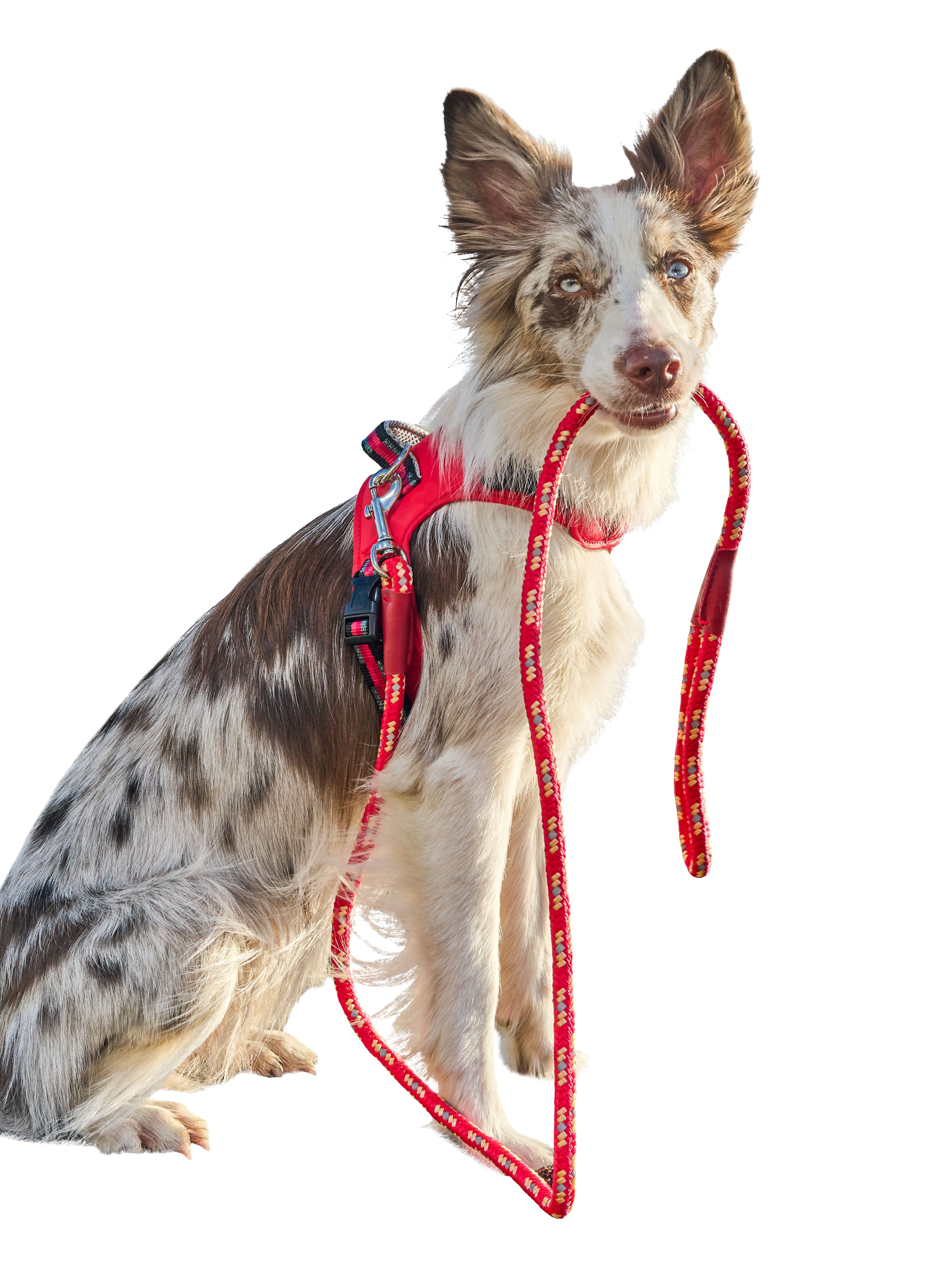 Produkt DAH0640563 Bild 5