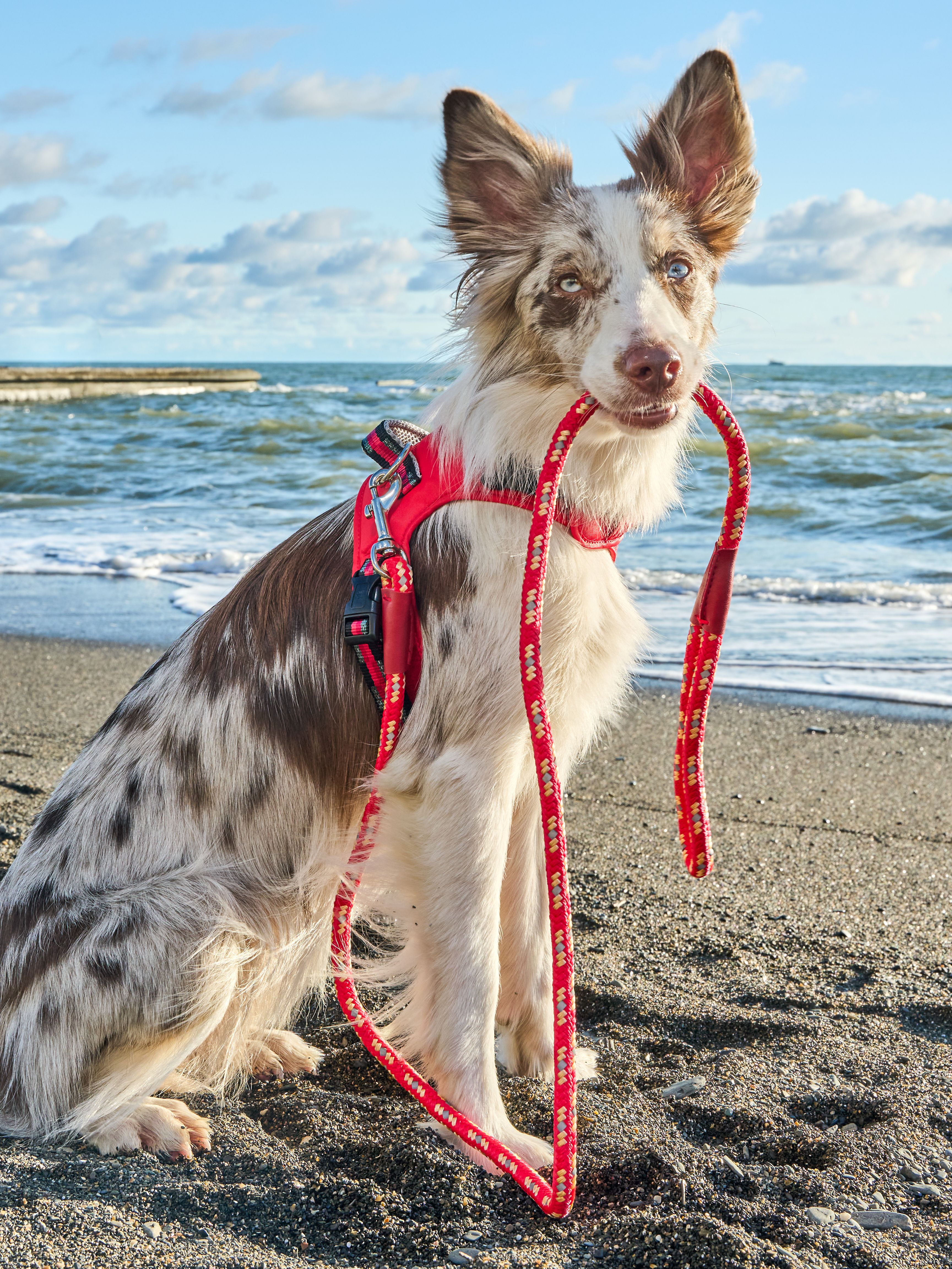 Produkt DAH0640563 Bild 6