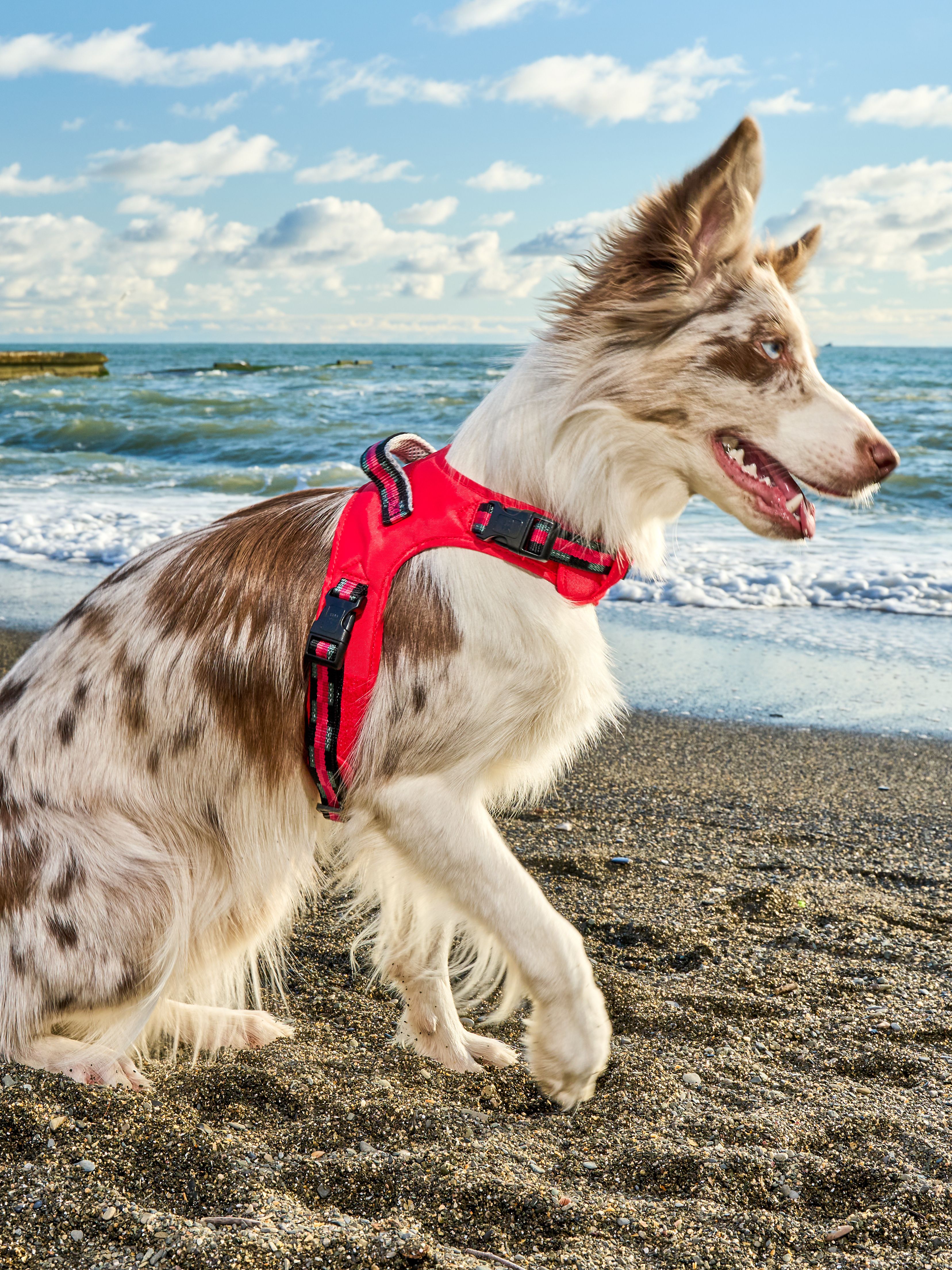 Produkt DAH0640563 Bild 8