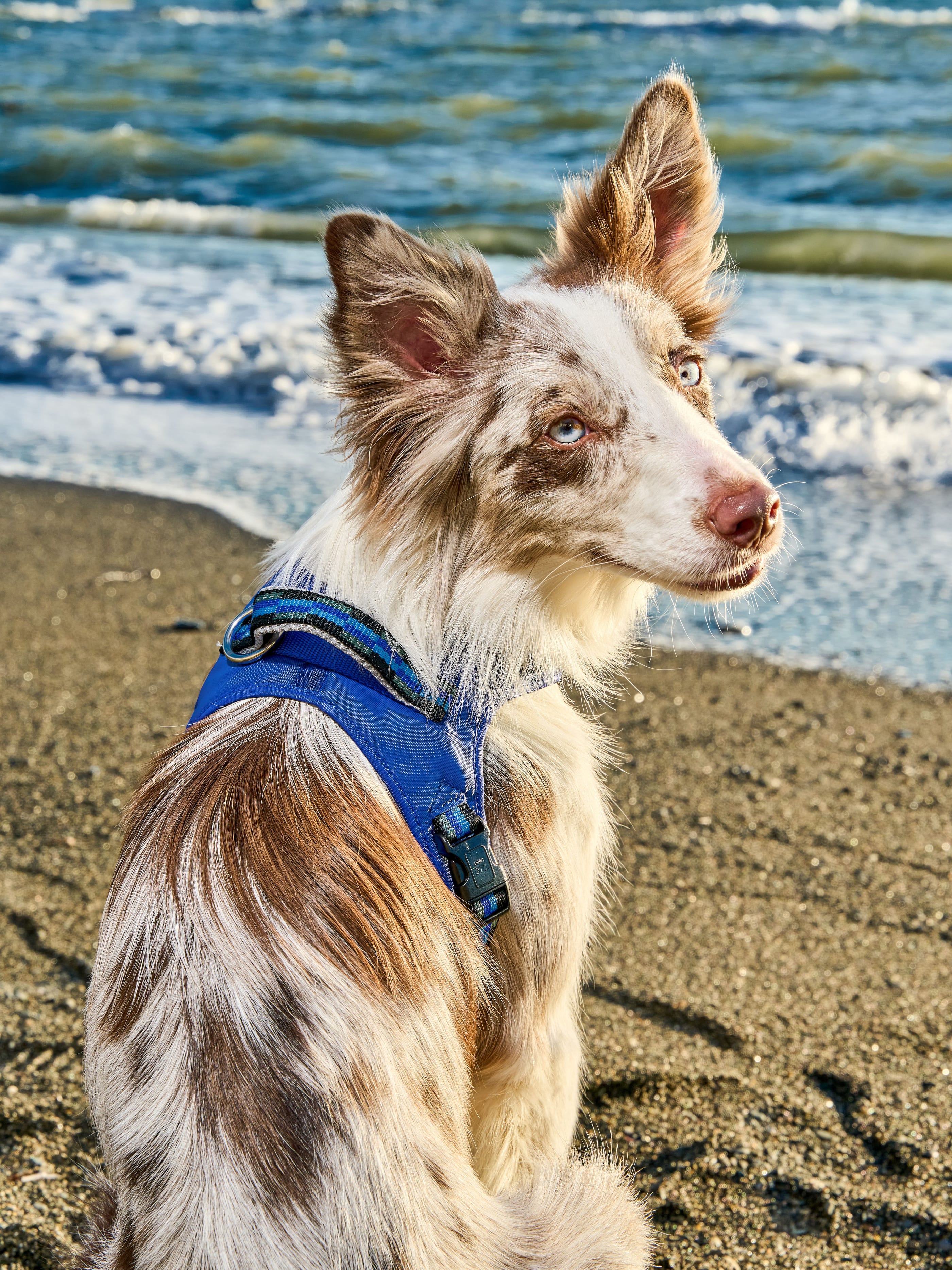 Product DAH0640570 photo 10