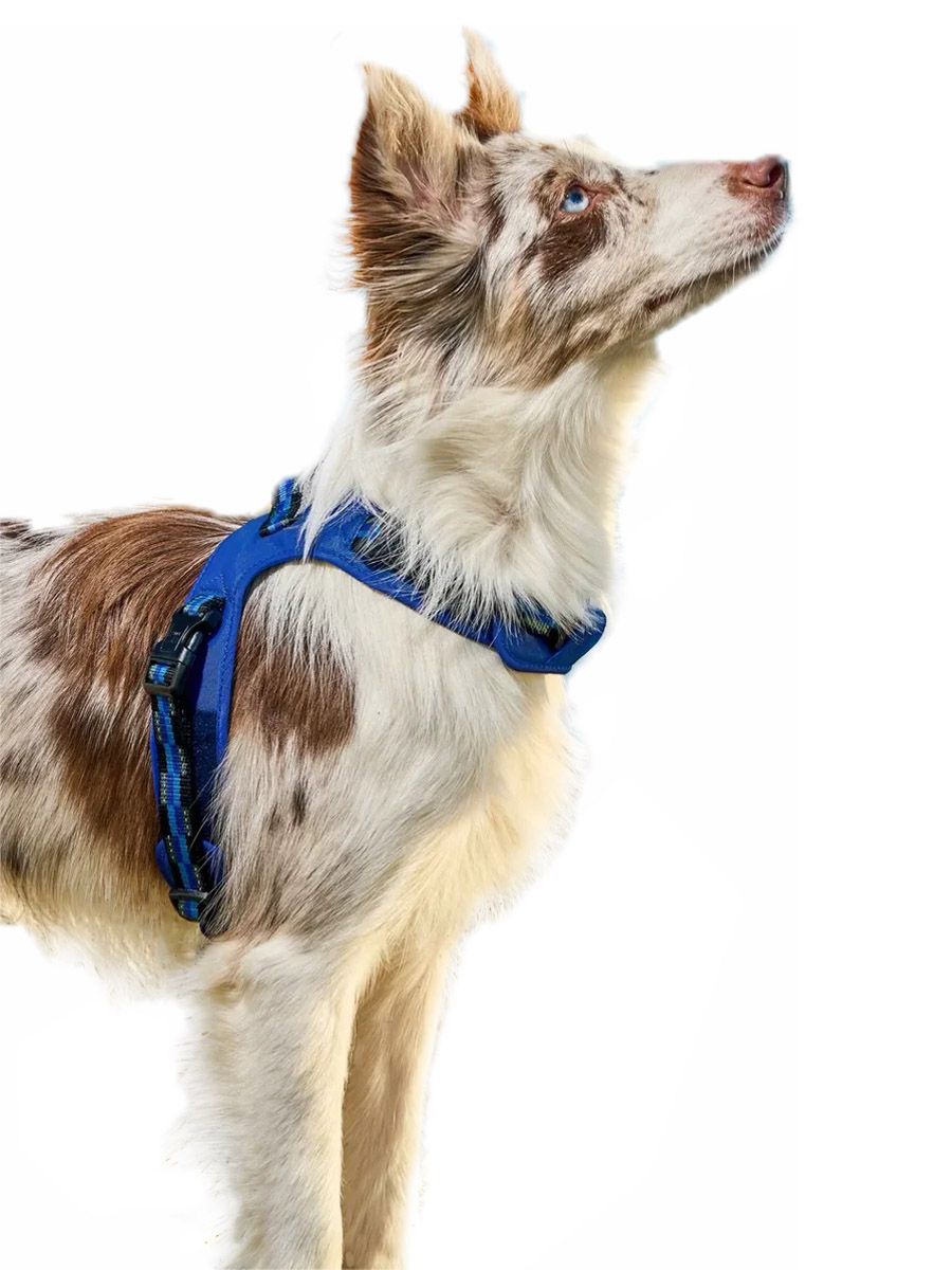 Product DAH0640570 photo 2