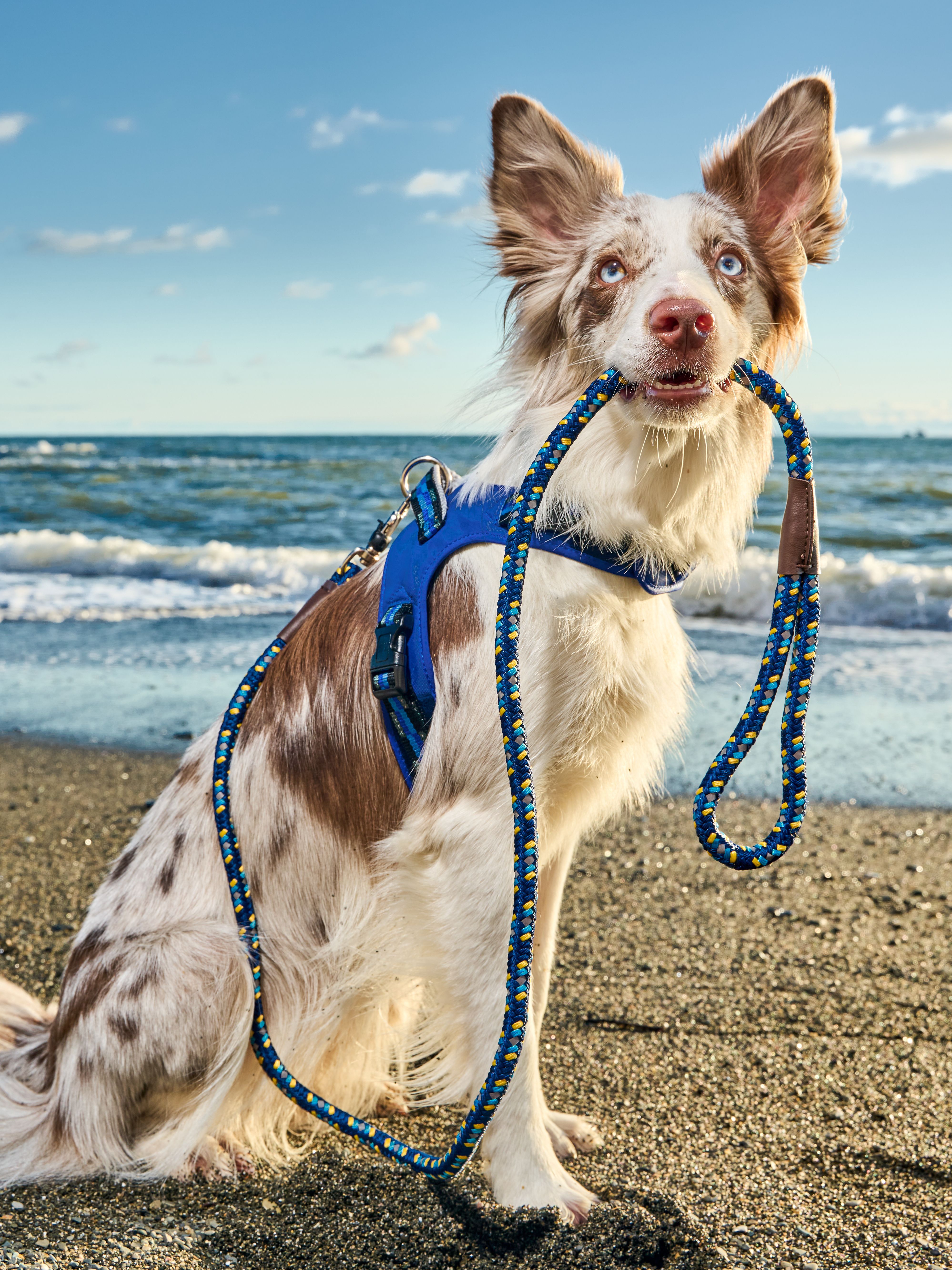 Product DAH0640570 photo 7