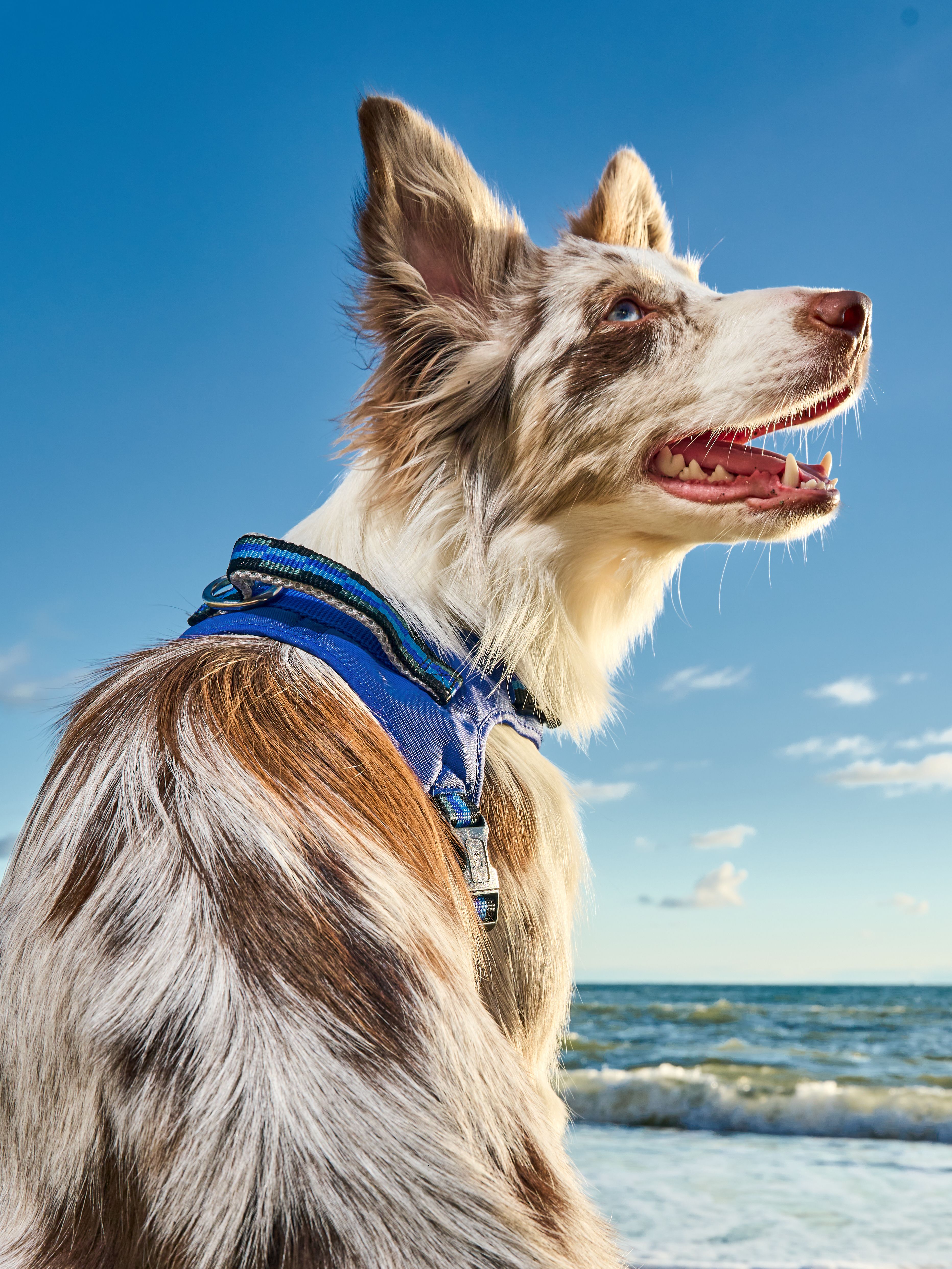 Product DAH0640570 photo 8