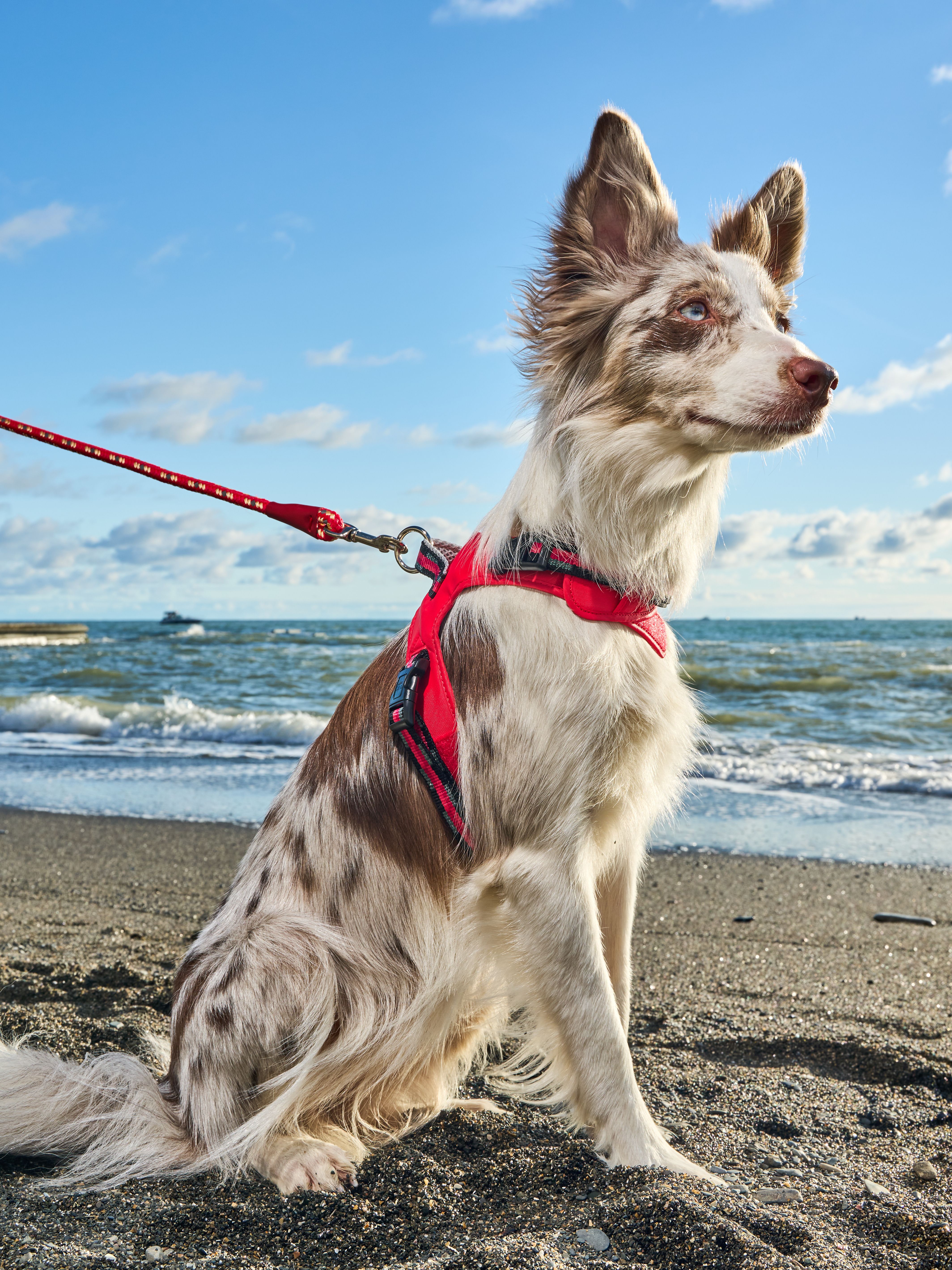 Produkt DAH0640587 Bild 6