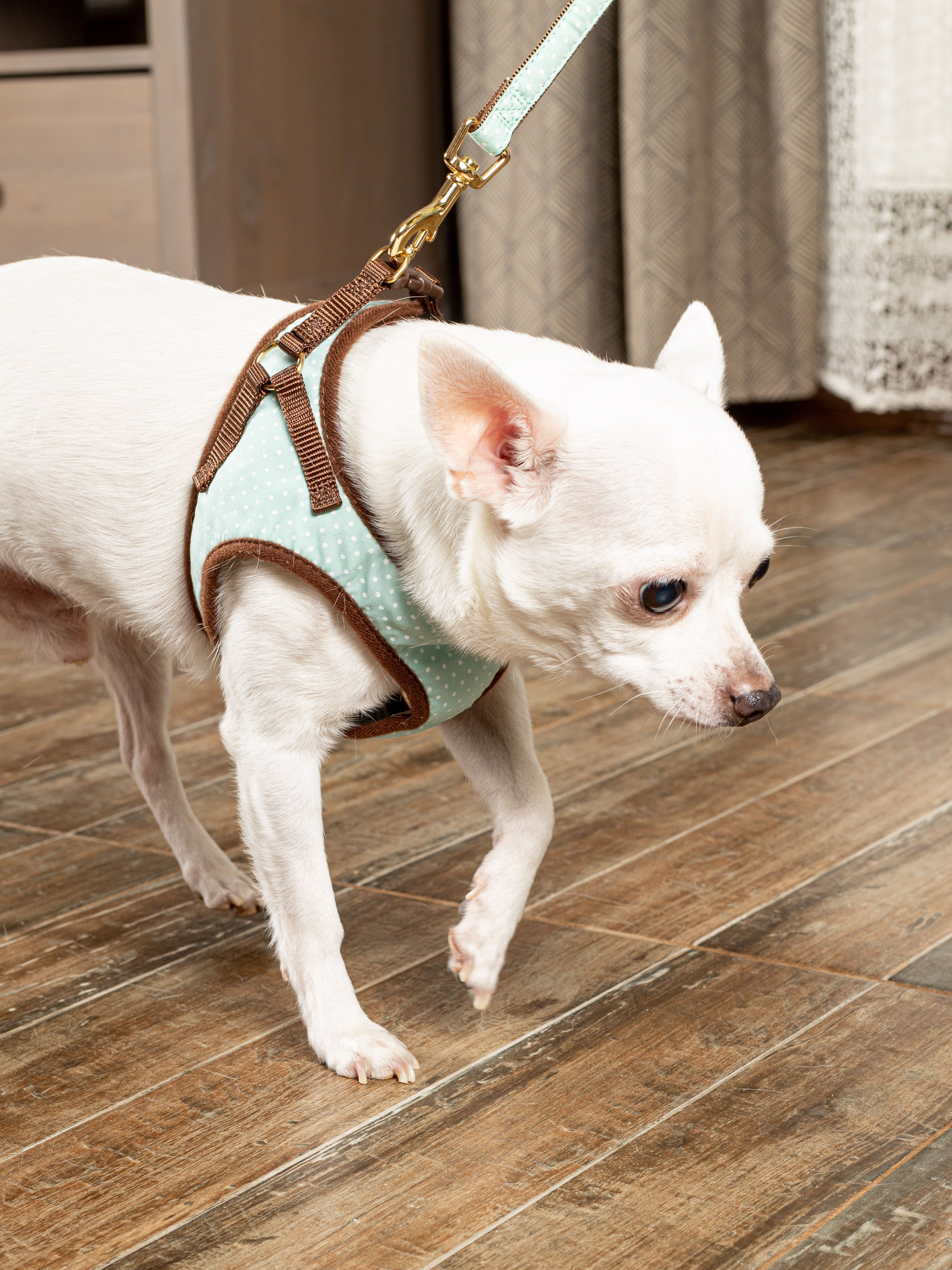 Produkt DAH0666297 Bild 3