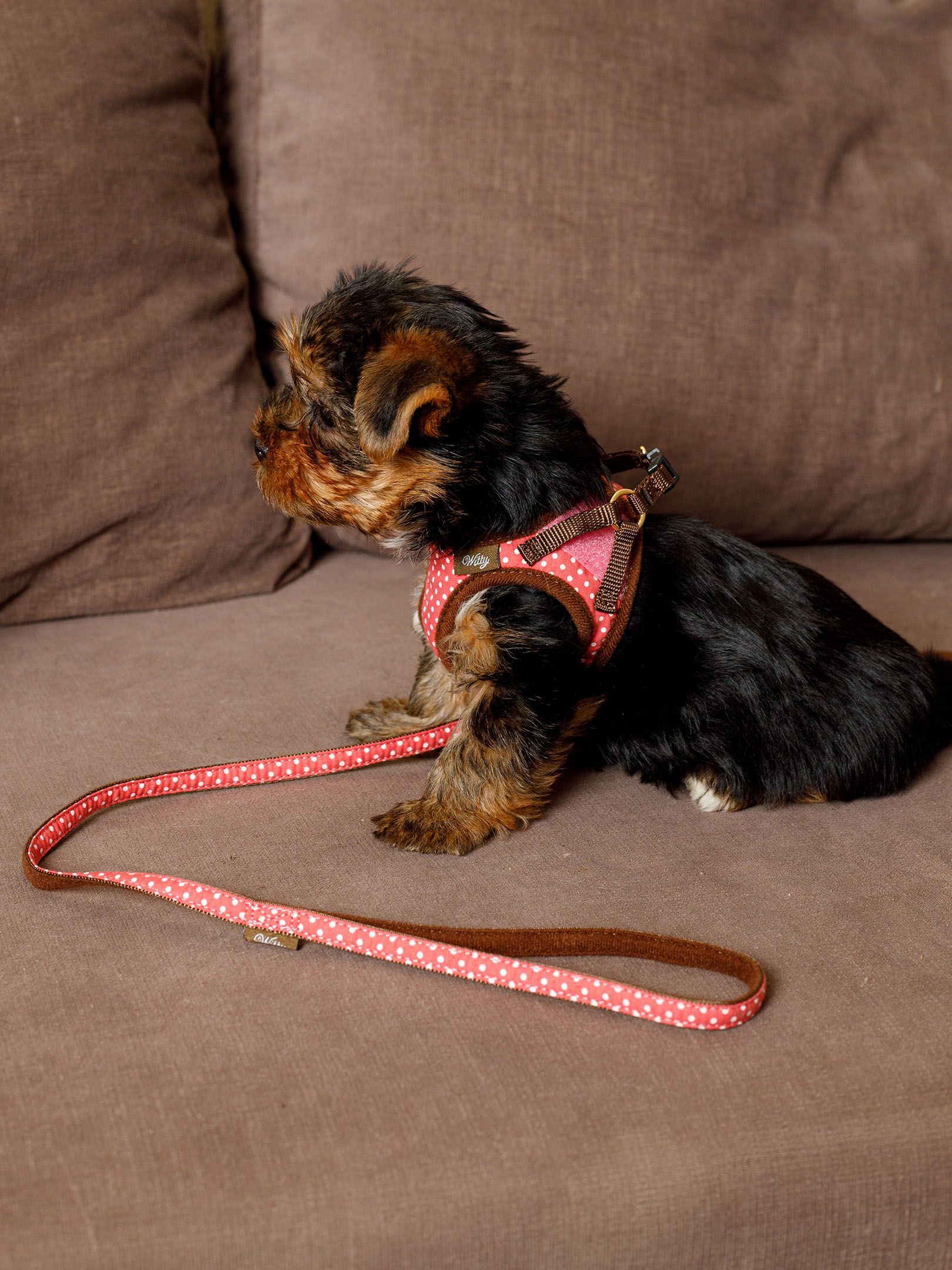 Produkt DAH0666303 Bild 5