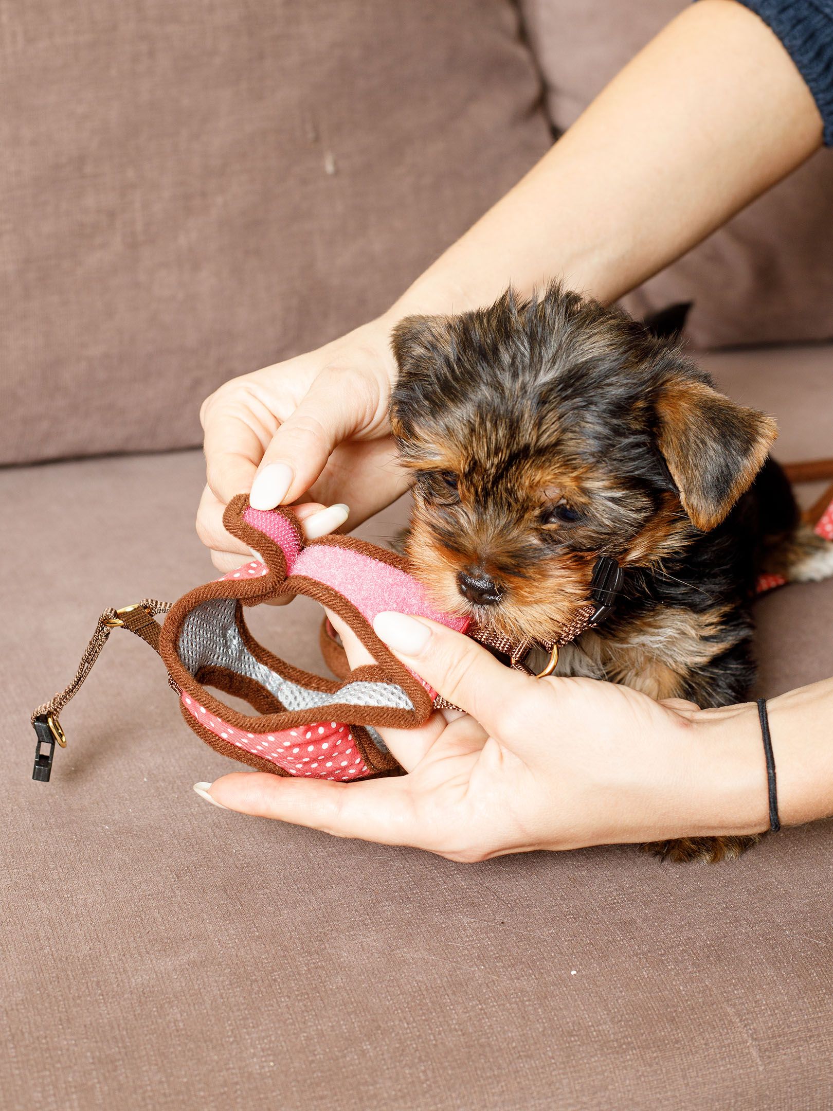 Produkt DAH0666303 Bild 6