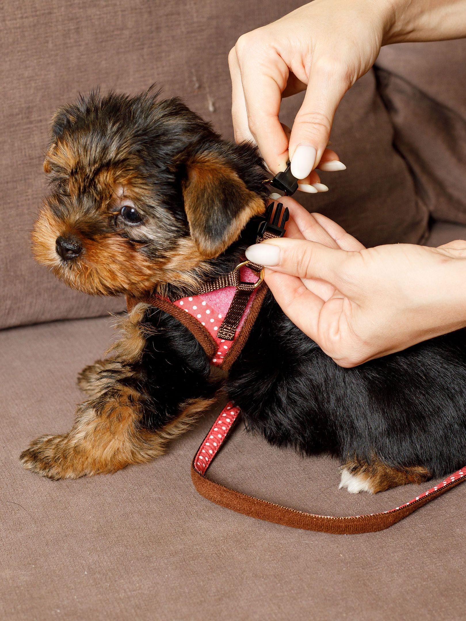 Produkt DAH0666327 Bild 3