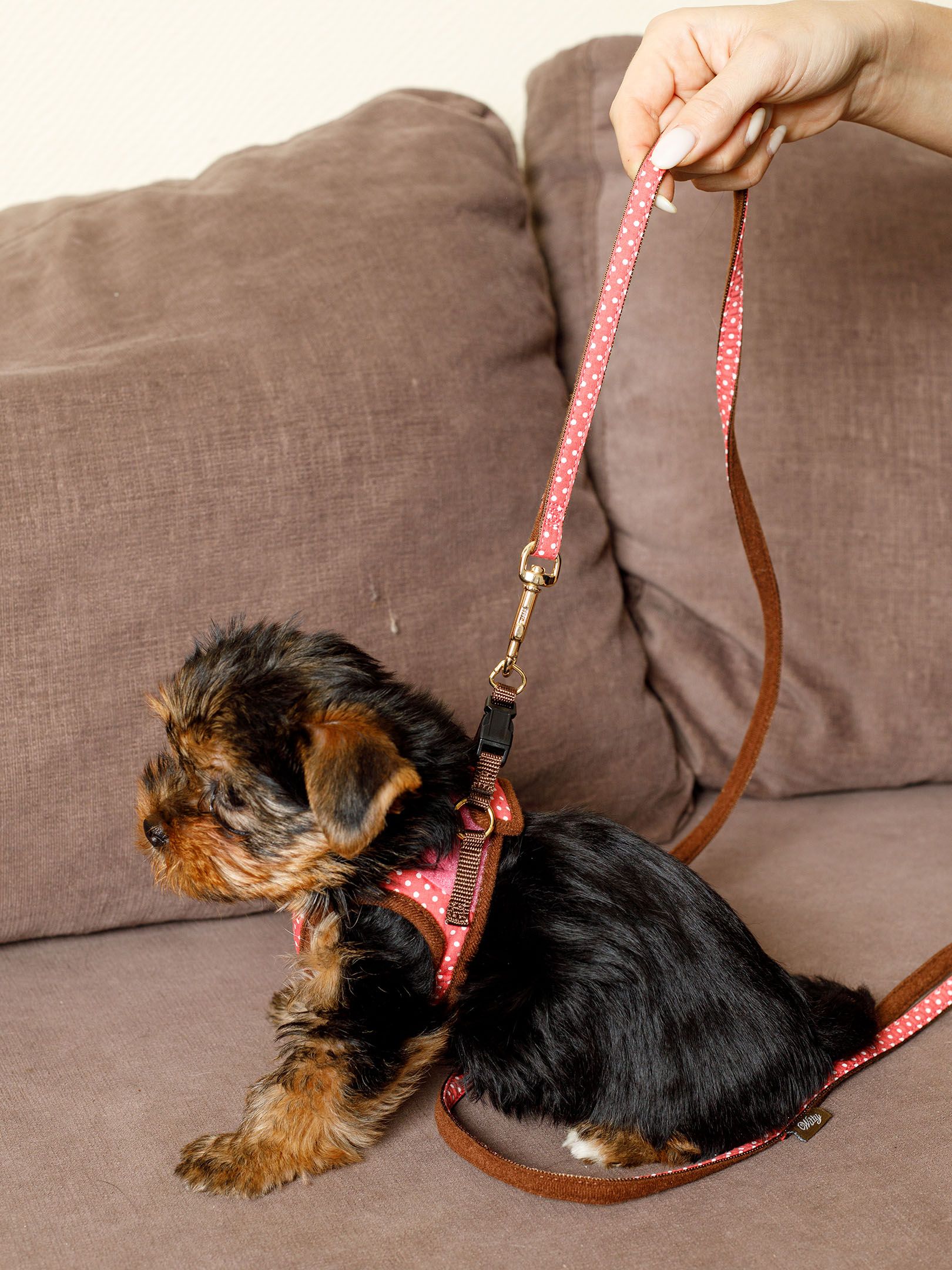 Produkt DAH0666327 Bild 4