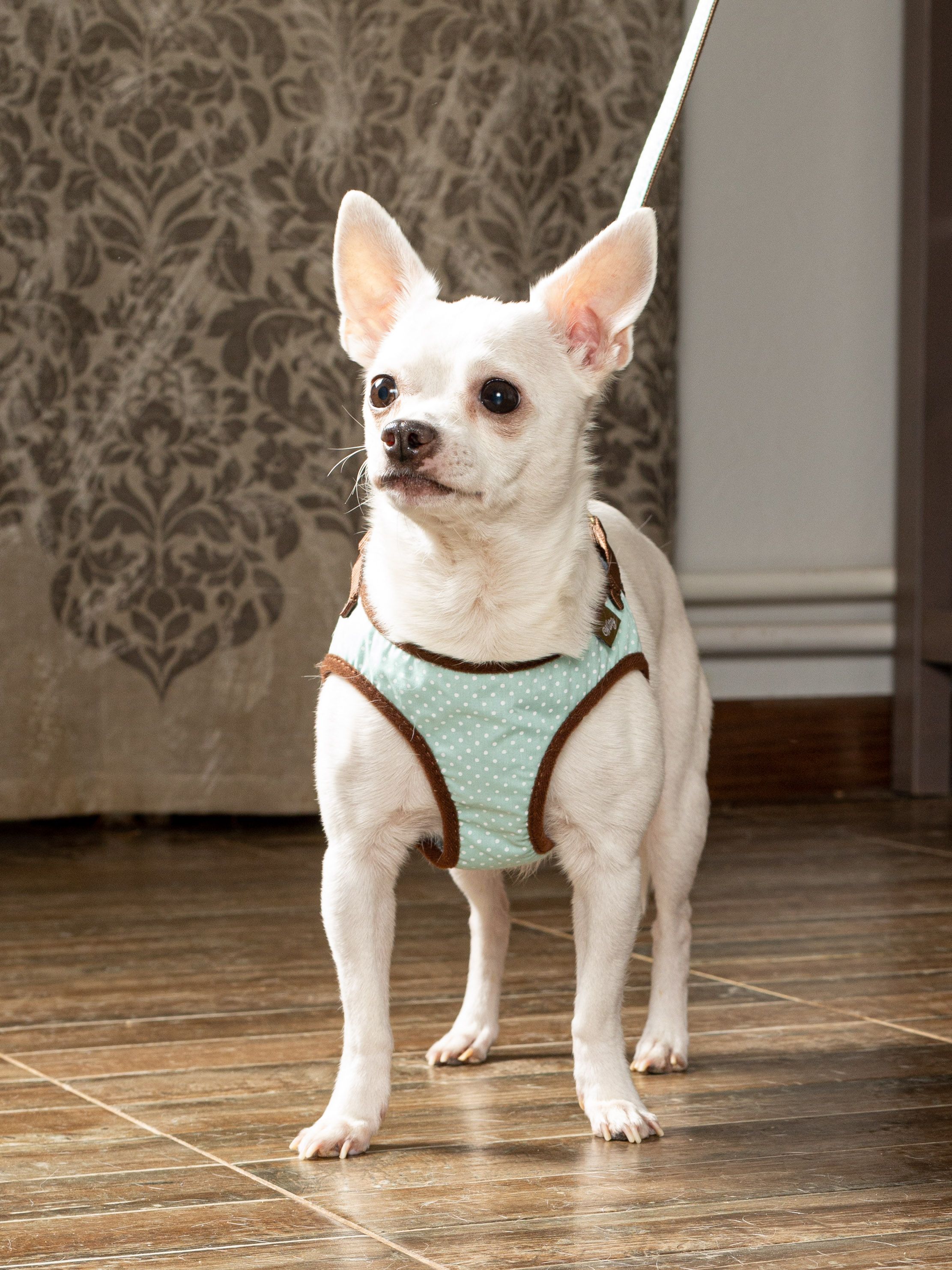 Produkt DAH0666334 Bild 5