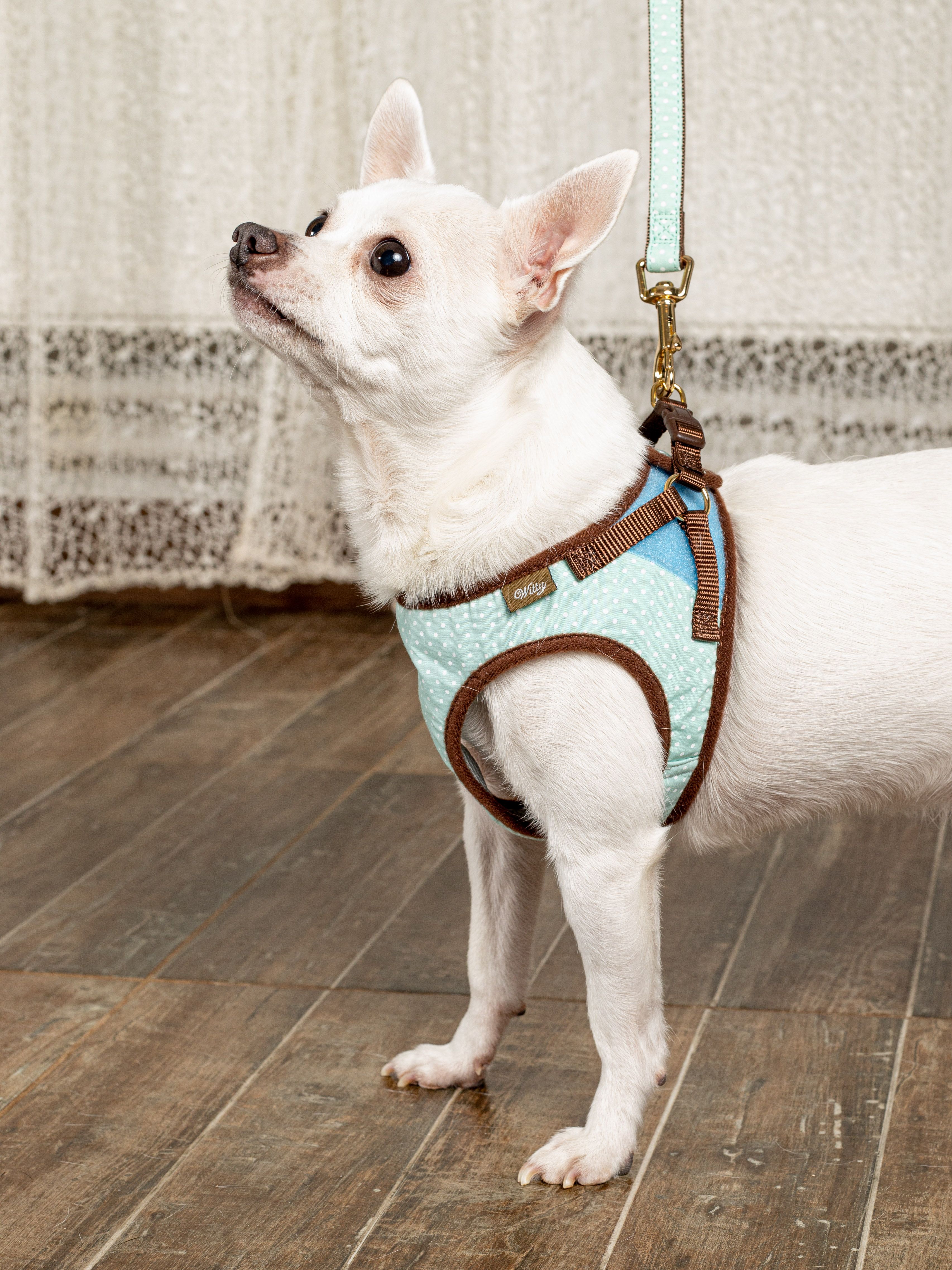 Produkt DAH0666358 Bild 6